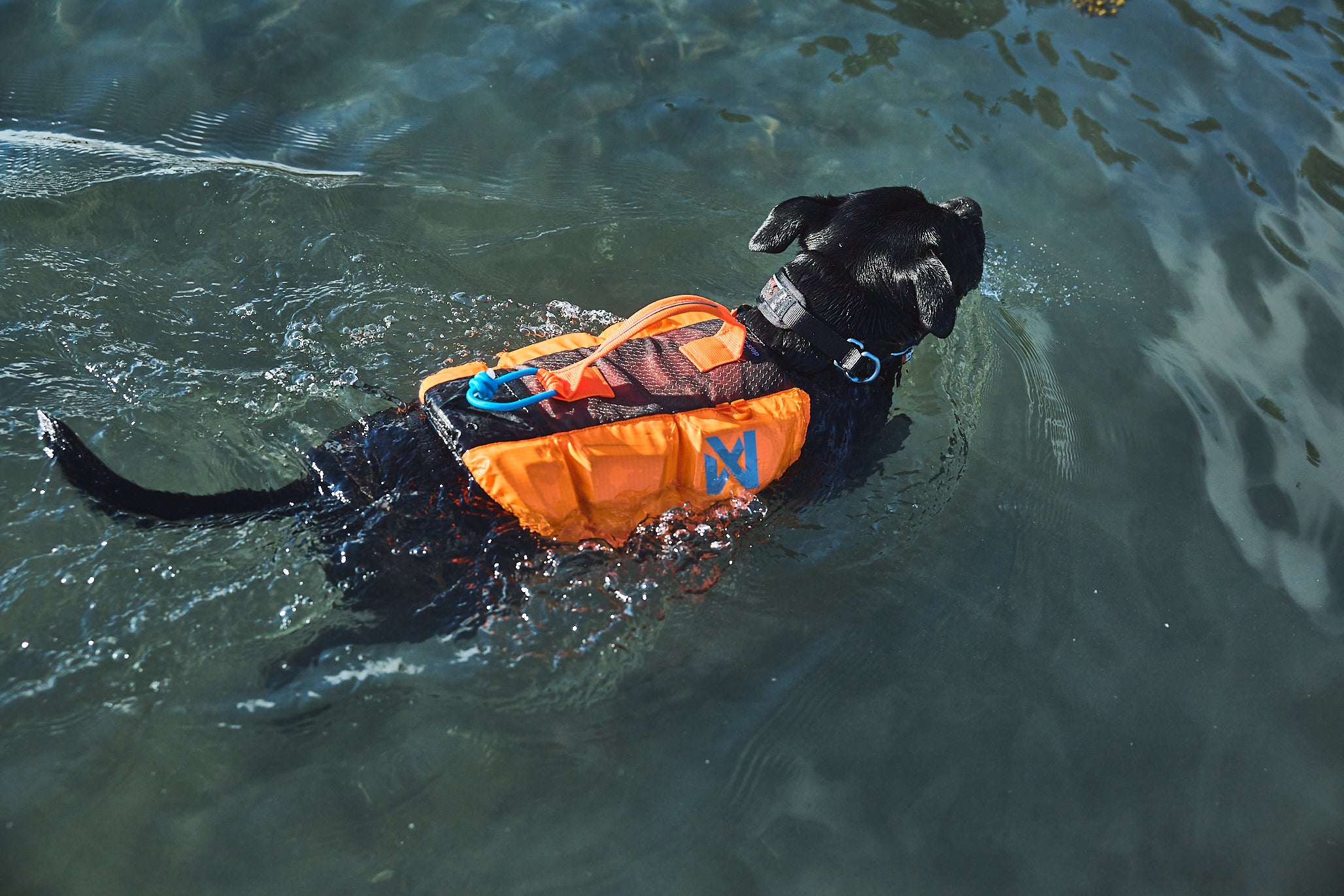 Protector life jacket - Redningsvest til hund