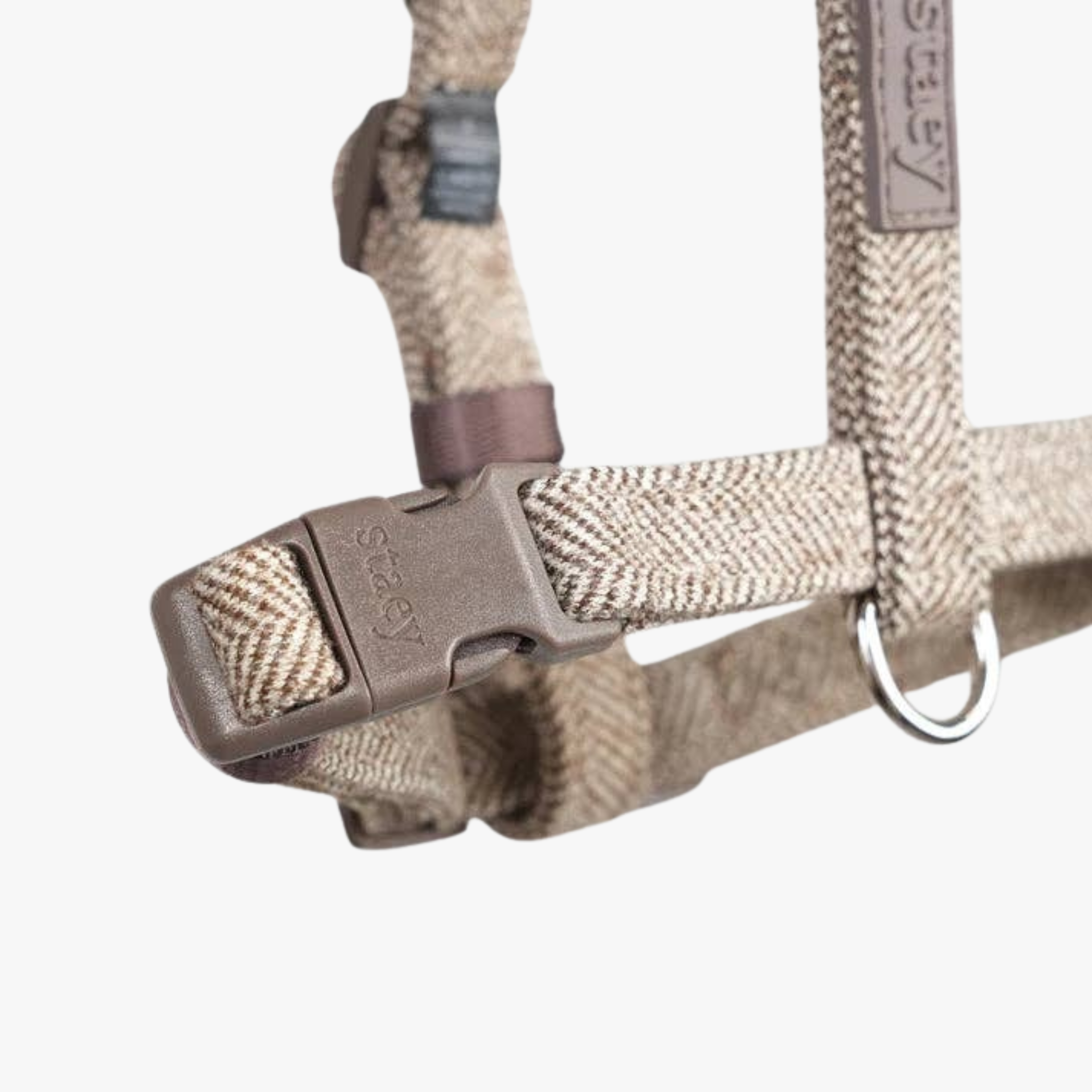 Tara H-Strap - Hundesele | Mocca