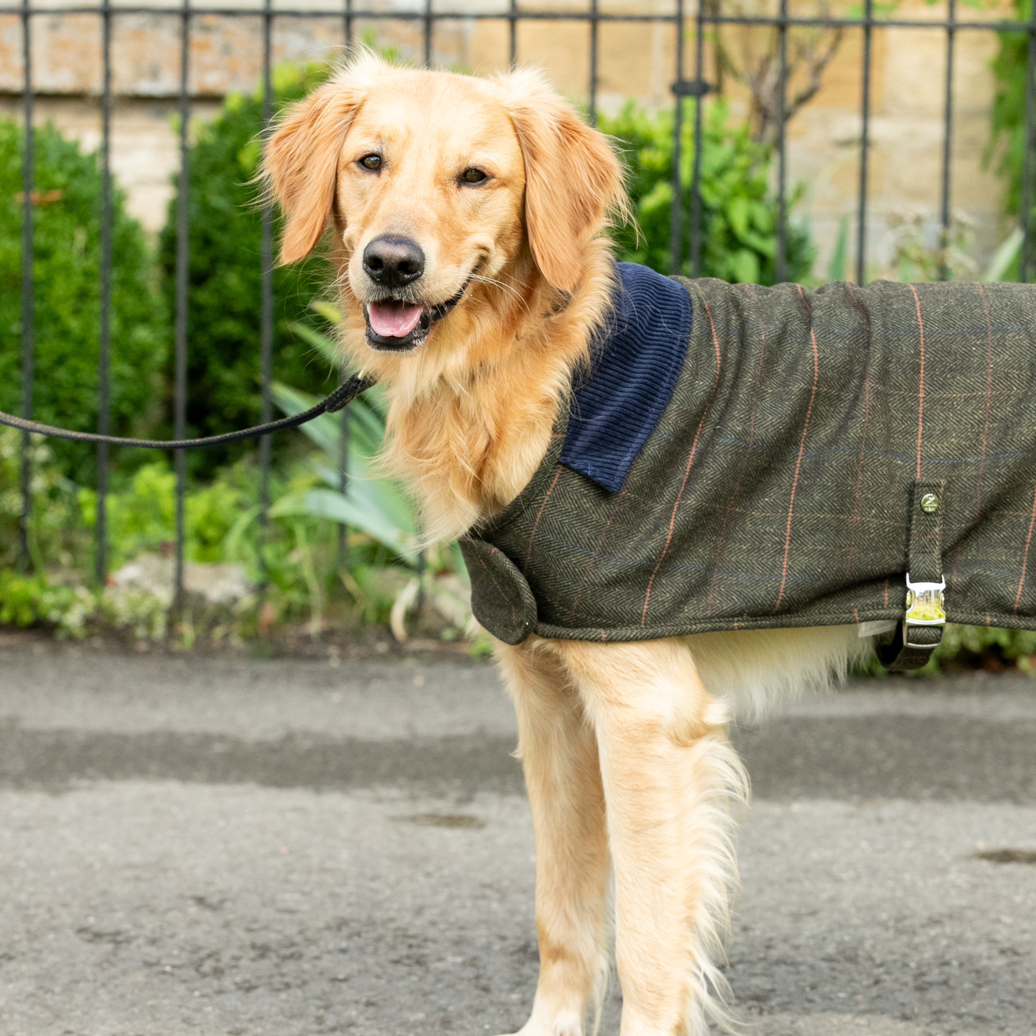 Hackett x Hugo & Hudson – Tweed hundejakke | Dark Green Checked Herringbone