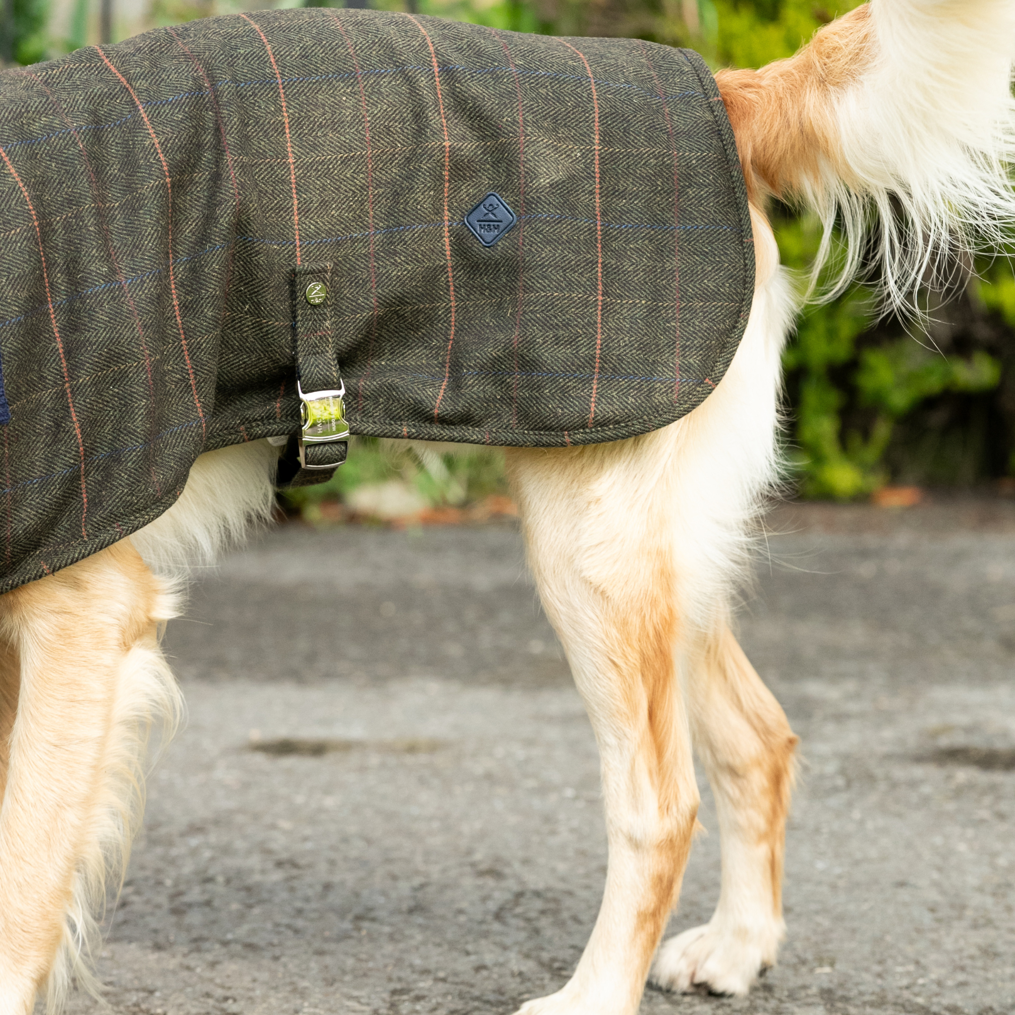 Hackett x Hugo & Hudson – Tweed hundejakke | Dark Green Checked Herringbone