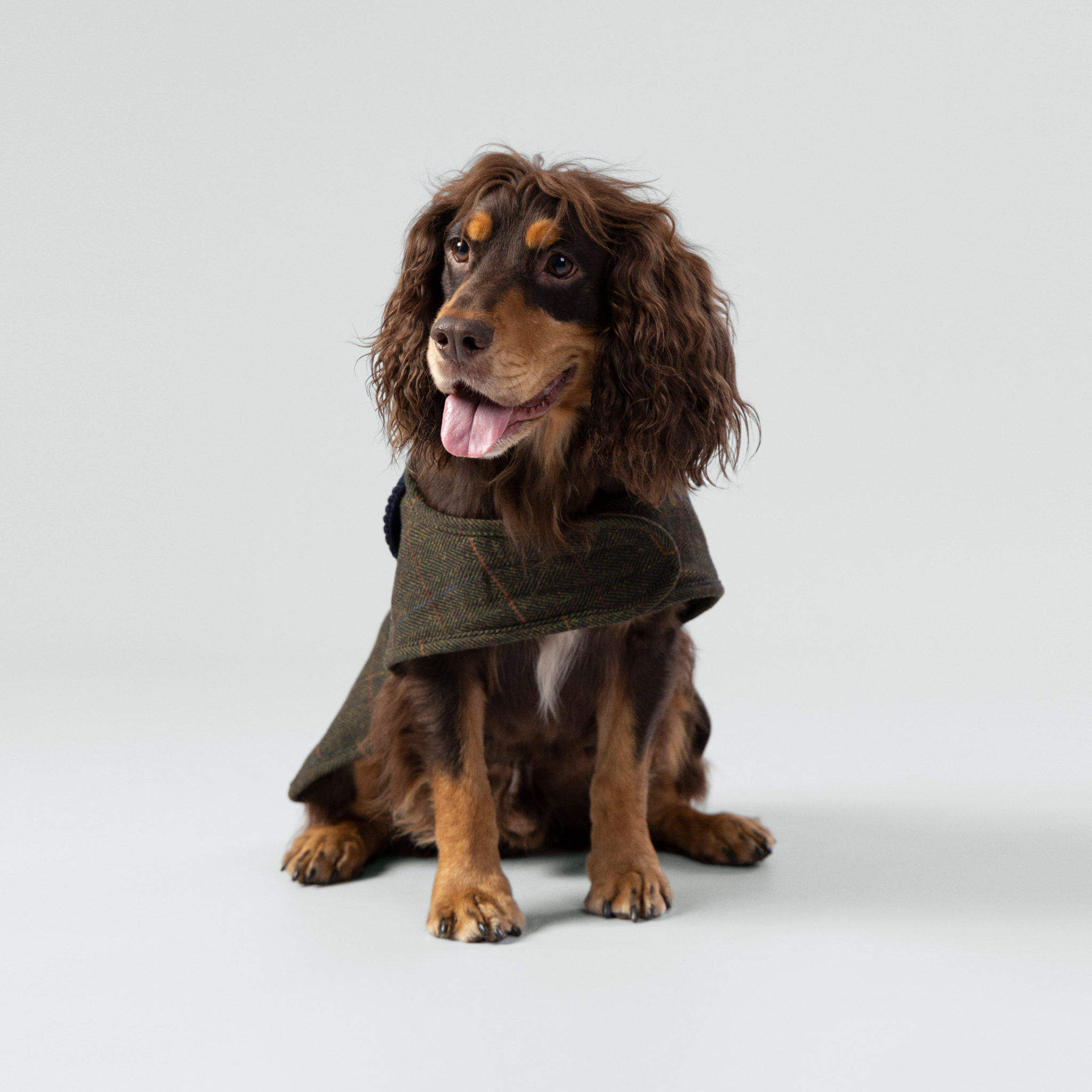 Hackett x Hugo & Hudson – Tweed hundejakke | Dark Green Checked Herringbone