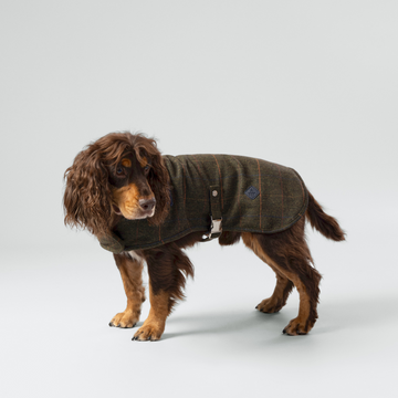 Hackett x Hugo & Hudson – Tweed hundejakke | Dark Green Checked Herringbone