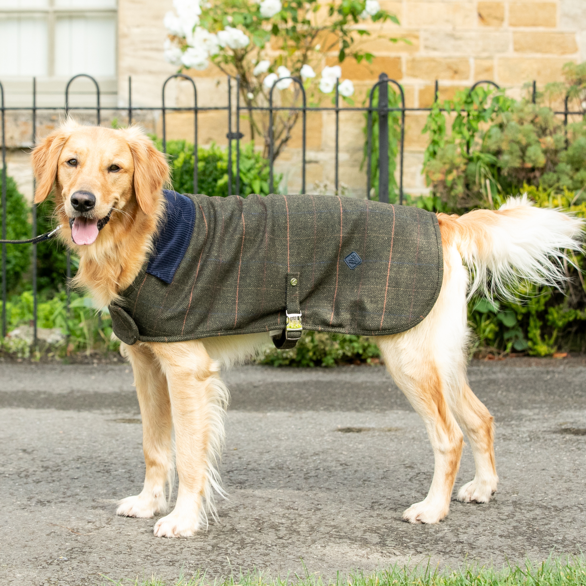 Hackett x Hugo & Hudson – Tweed hundejakke | Dark Green Checked Herringbone
