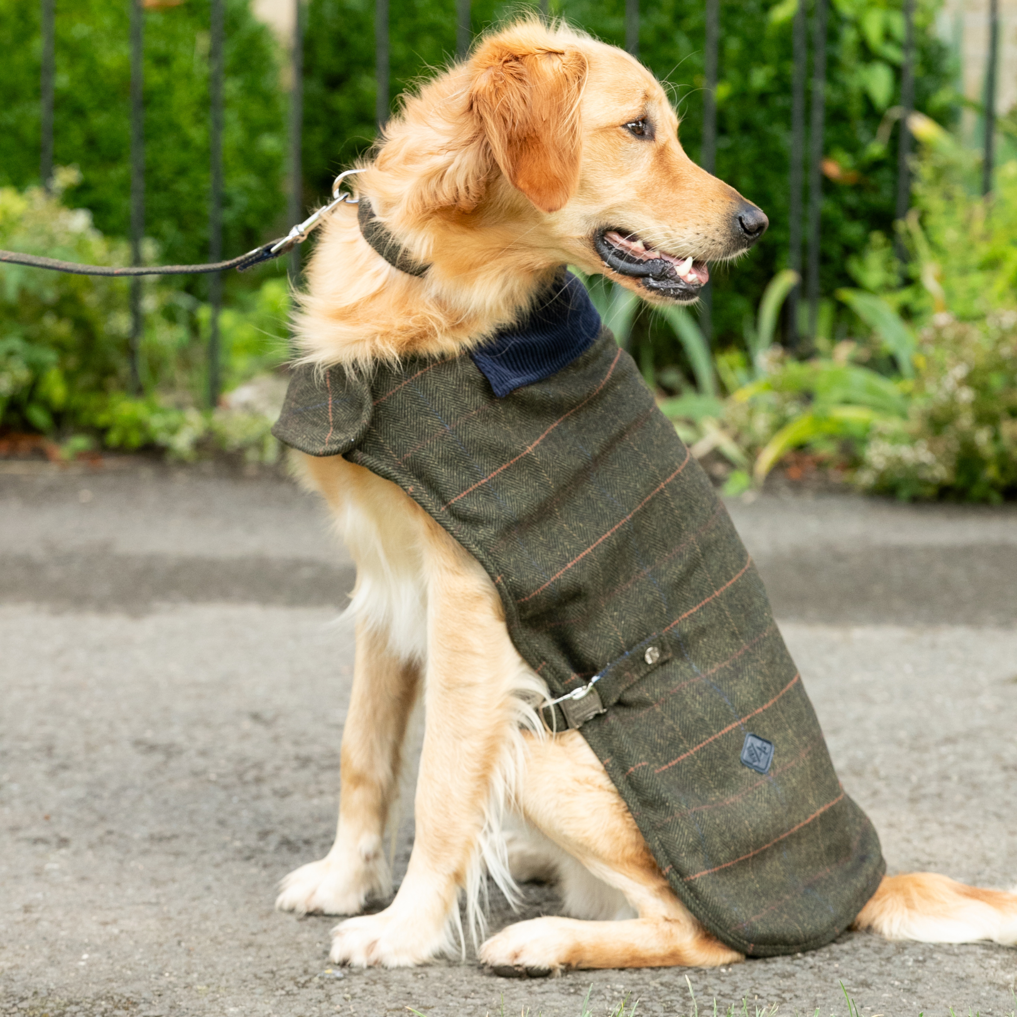 Hackett x Hugo & Hudson – Tweed hundejakke | Dark Green Checked Herringbone