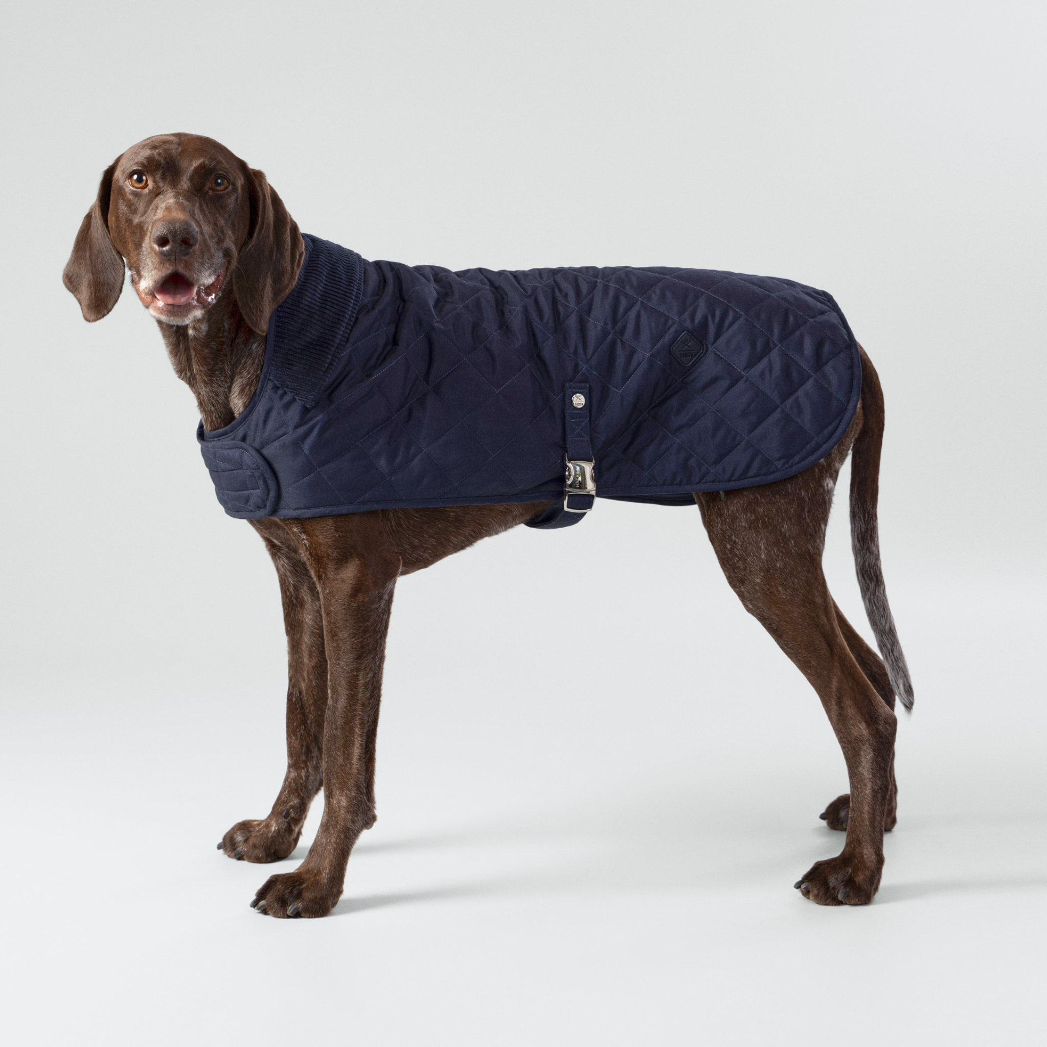 Hackett x Hugo & Hudson – Vattert hundejakke (Navy)