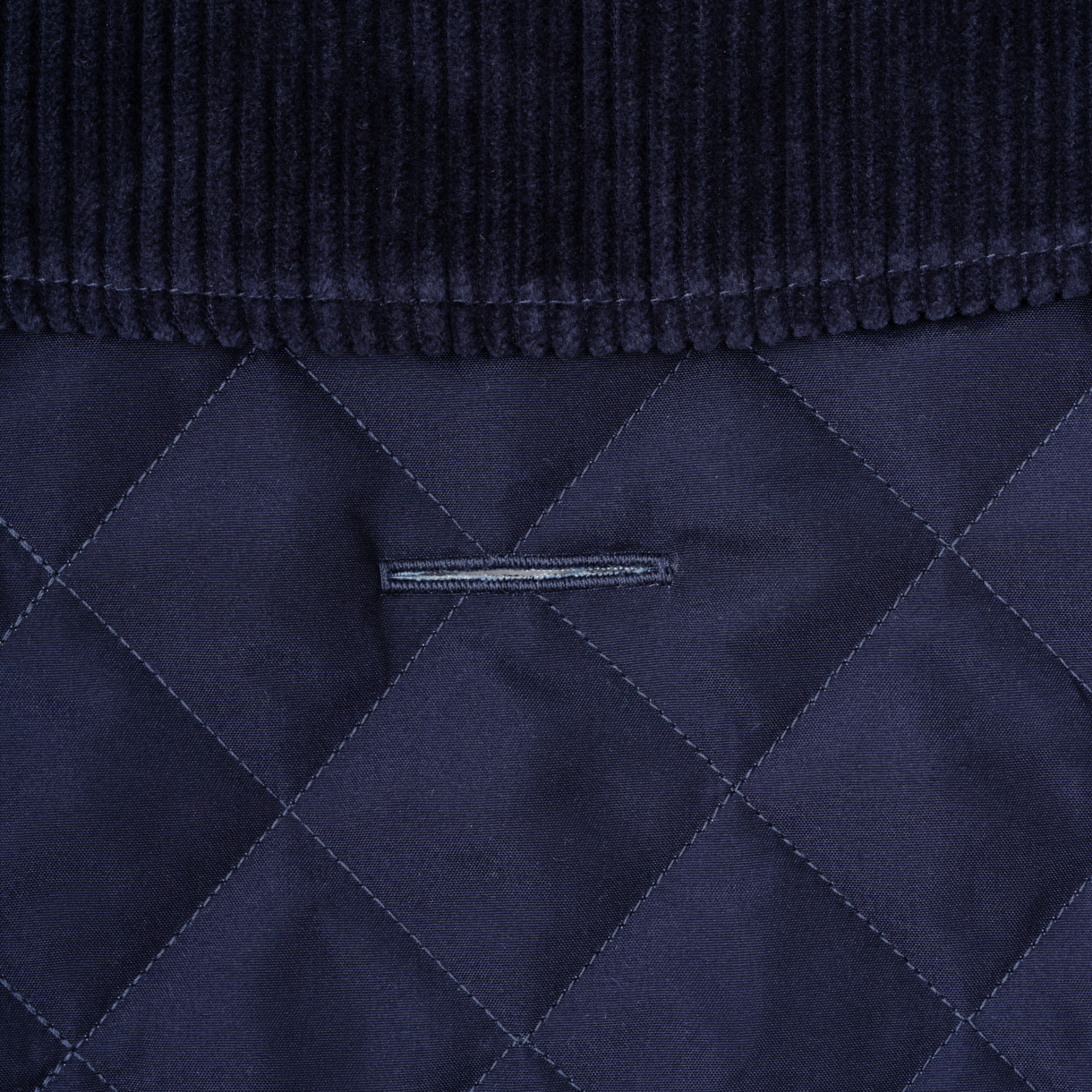 Hackett x Hugo & Hudson – Vattert hundejakke (Navy)