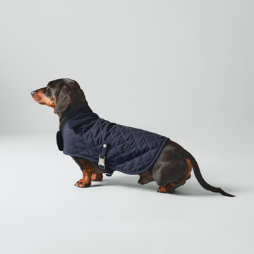 Hackett x Hugo & Hudson – Vattert hundejakke (Navy)