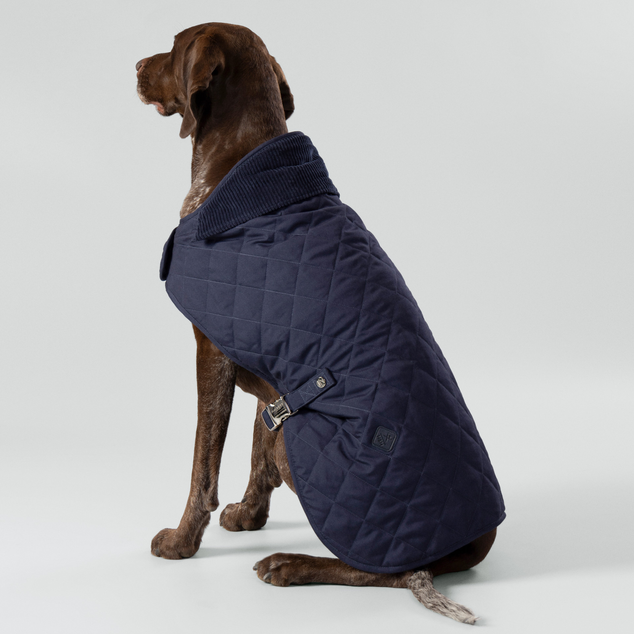 Hackett x Hugo & Hudson – Vattert hundejakke (Navy)