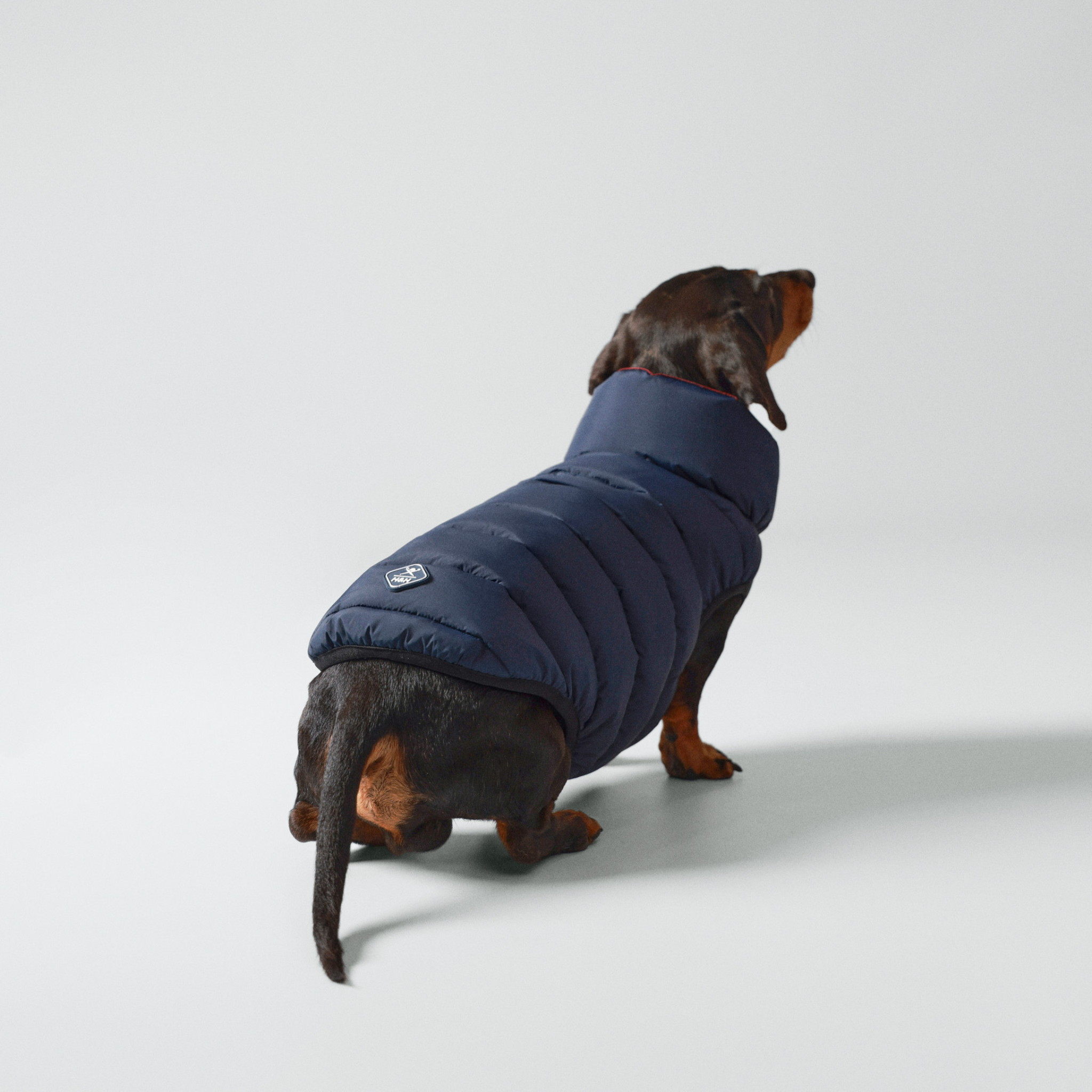 Hackett x Hugo & Hudson – Vendbar hundejakke (Navy & Berry)