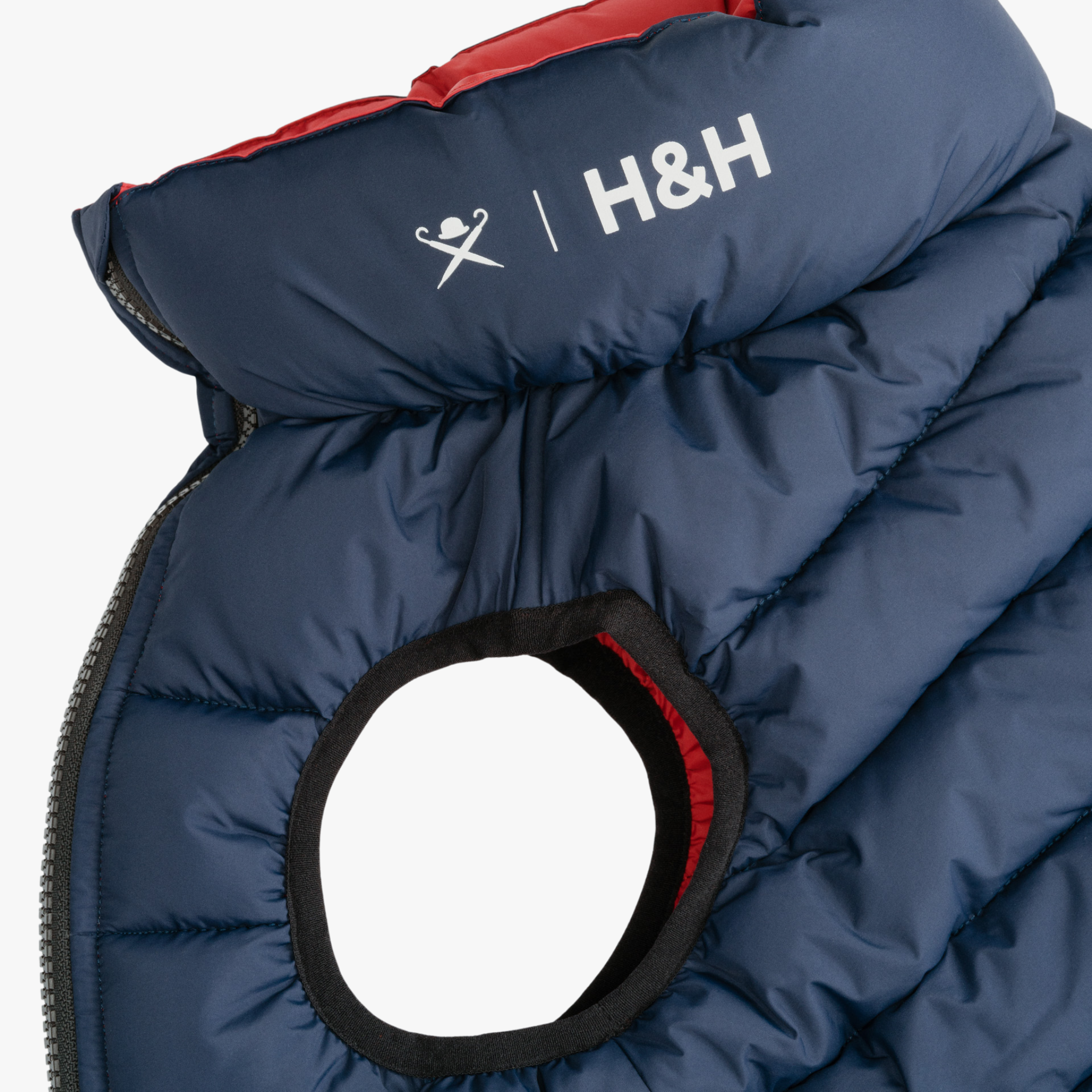 Hackett x Hugo & Hudson – Vendbar hundejakke (Navy & Berry)