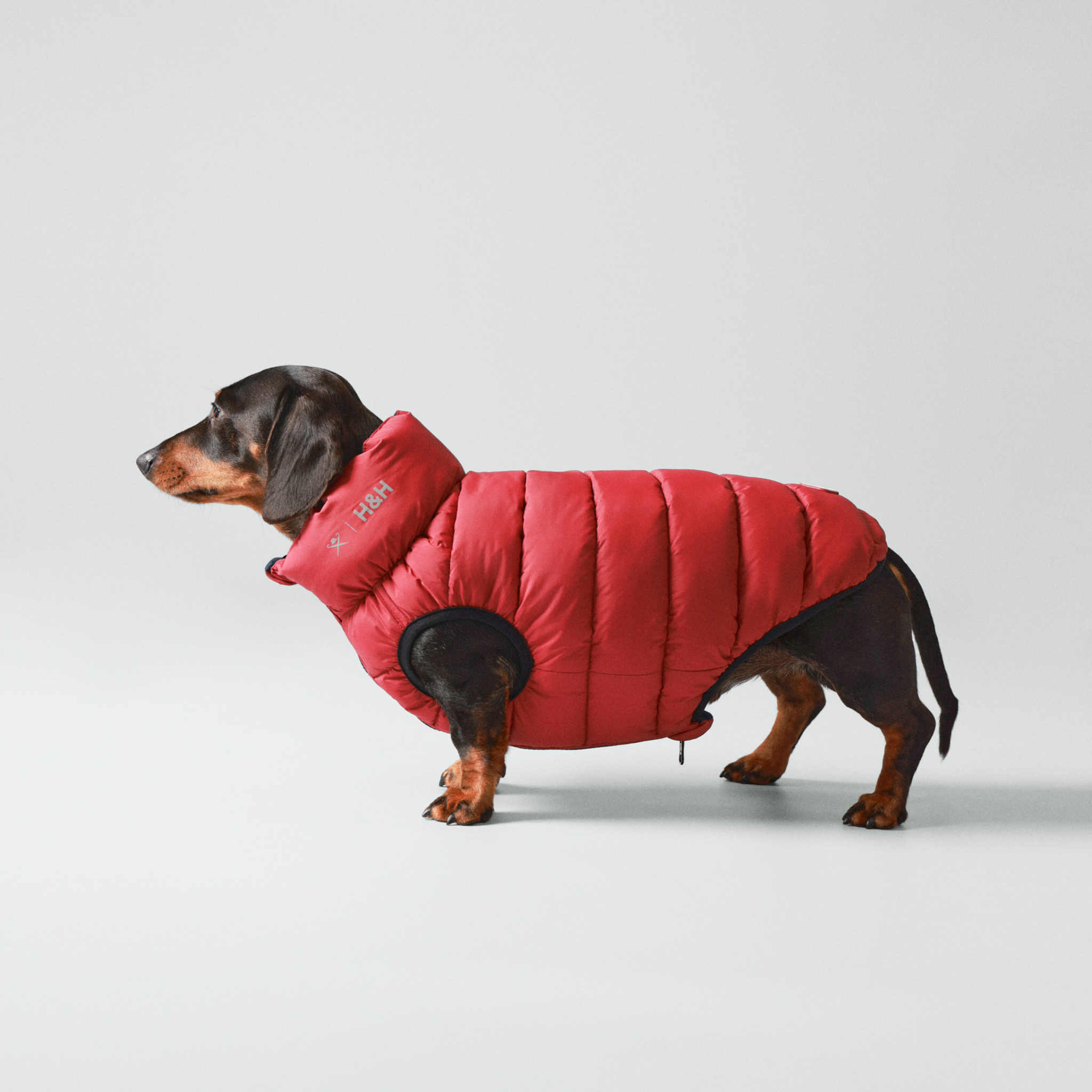 Hackett x Hugo & Hudson – Vendbar hundejakke (Navy & Berry)