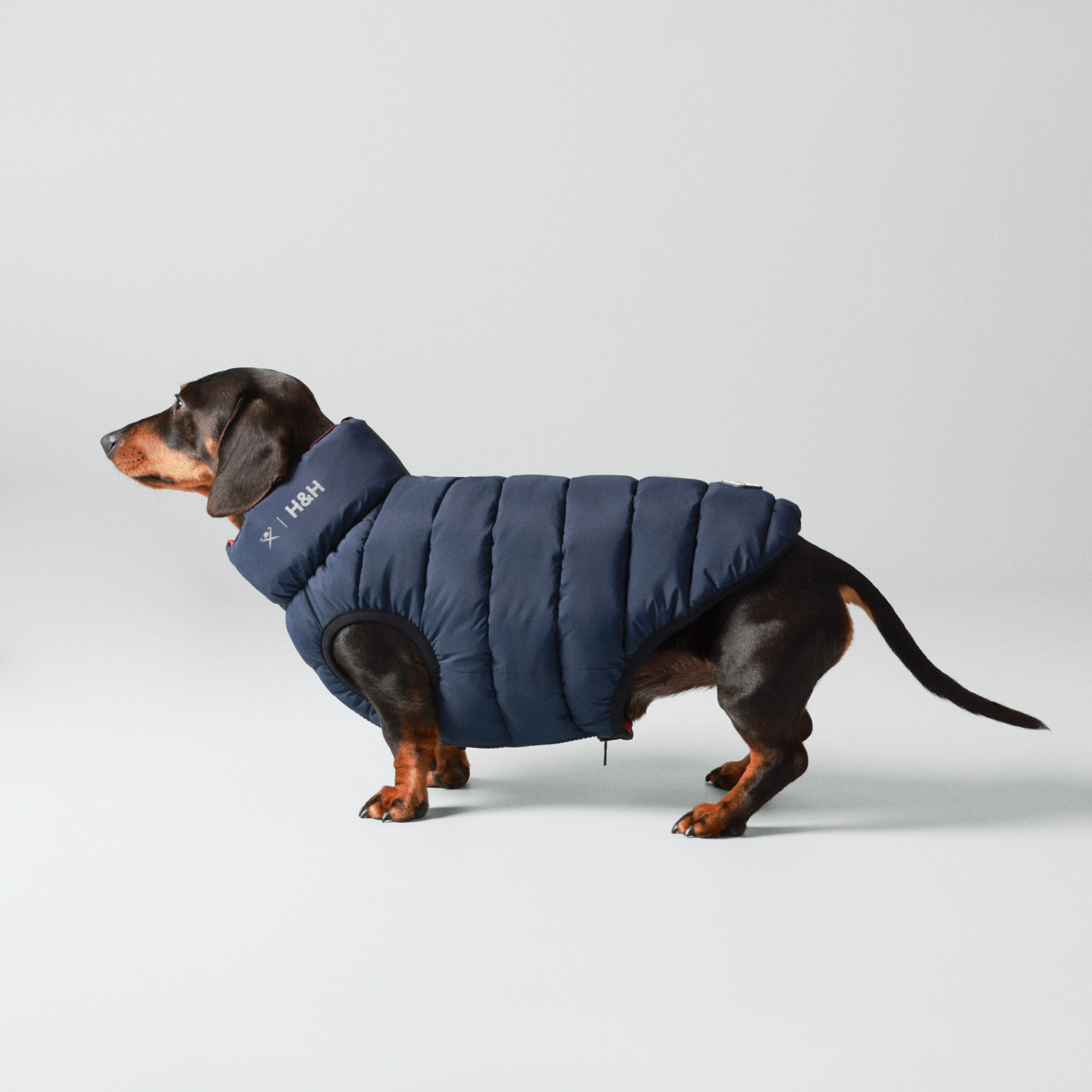 Hackett x Hugo & Hudson – Vendbar hundejakke (Navy & Berry)