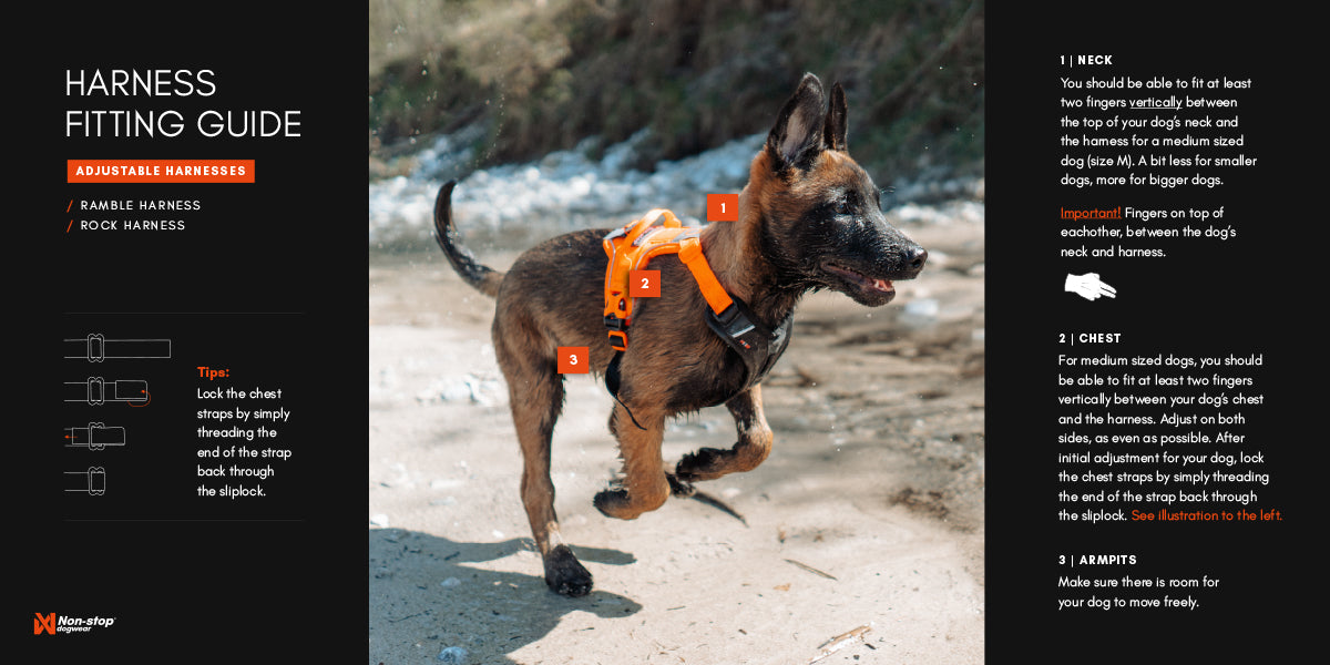 Ramble Harness - Allsidig hverdagssele, Sort/Orange