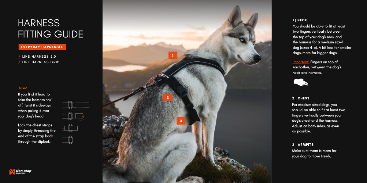 Line Harness 5.0 - Allsidig trekksele, Lilla