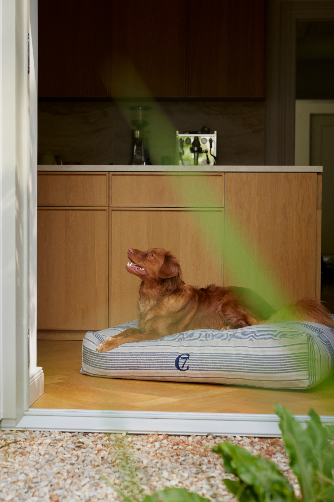Cloud7 Hundeseng Homey – Linen Stripes