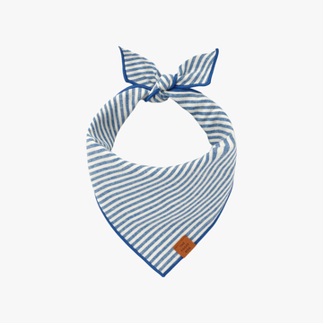 Lake Blue Stripe - Bandana