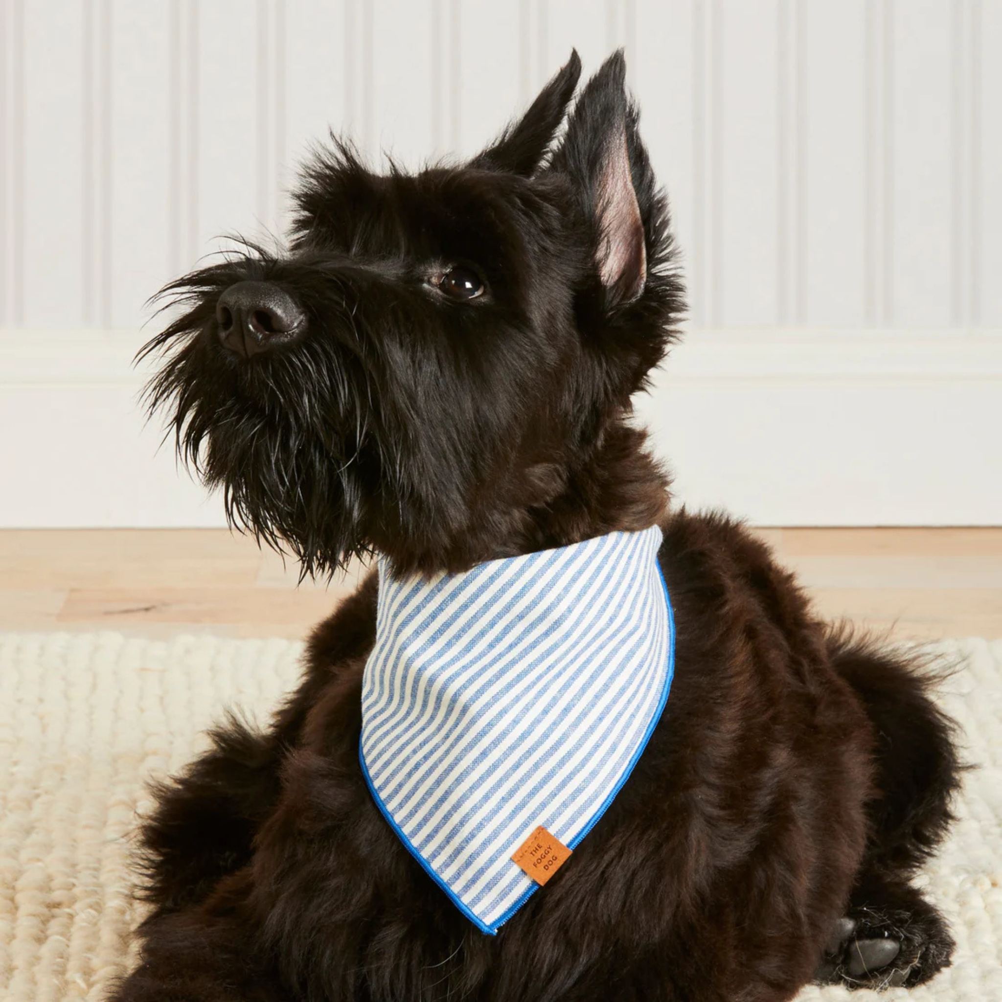 Lake Blue Stripe - Bandana