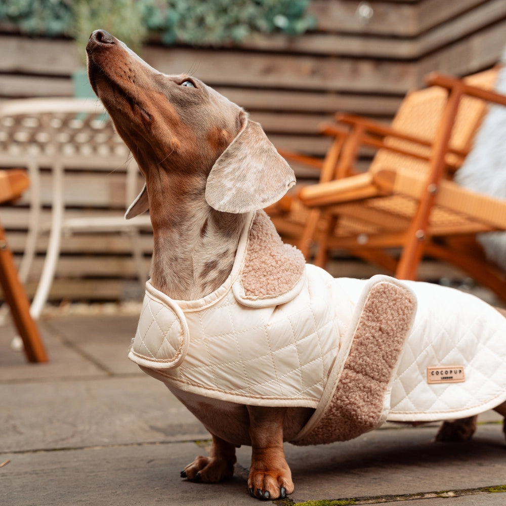 Luxe Quilted Creamy Chai - Vattert hundejakke