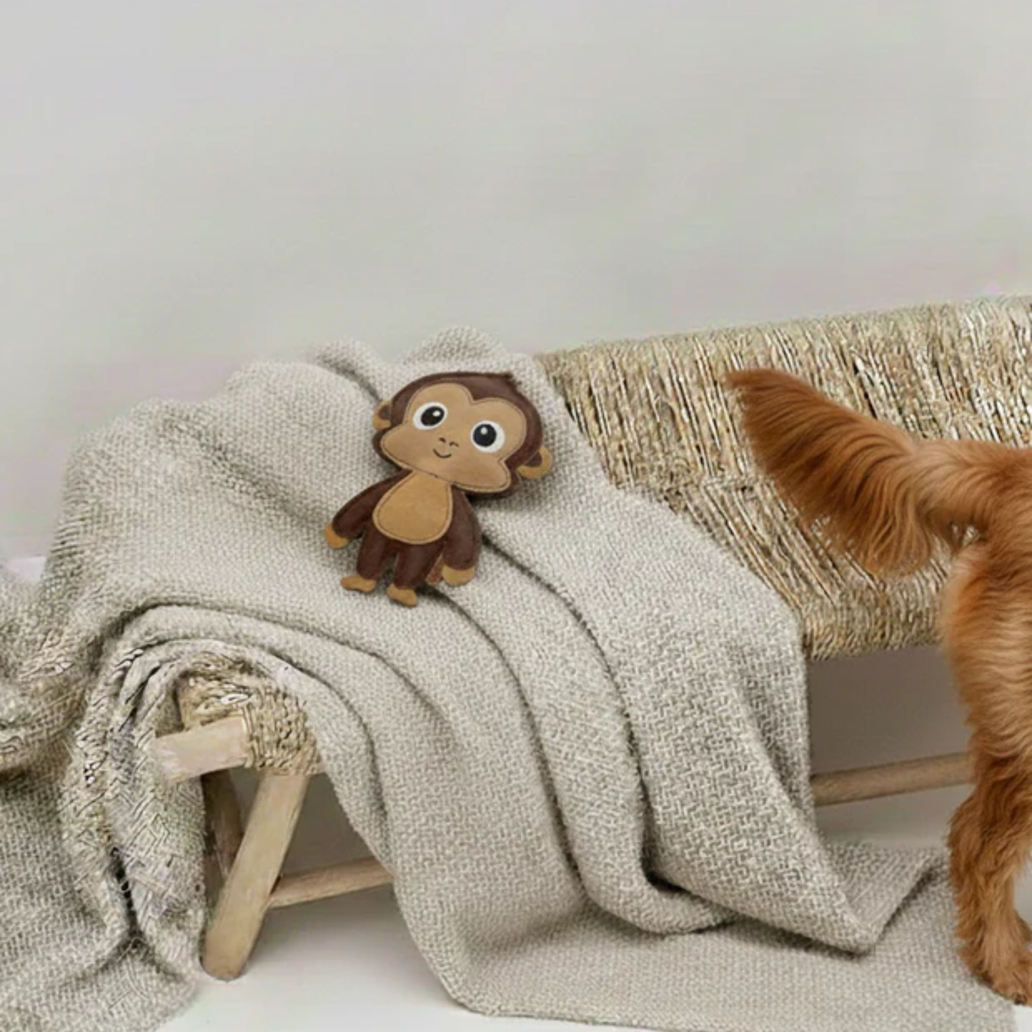 Mick the Monkey - Hundeleke