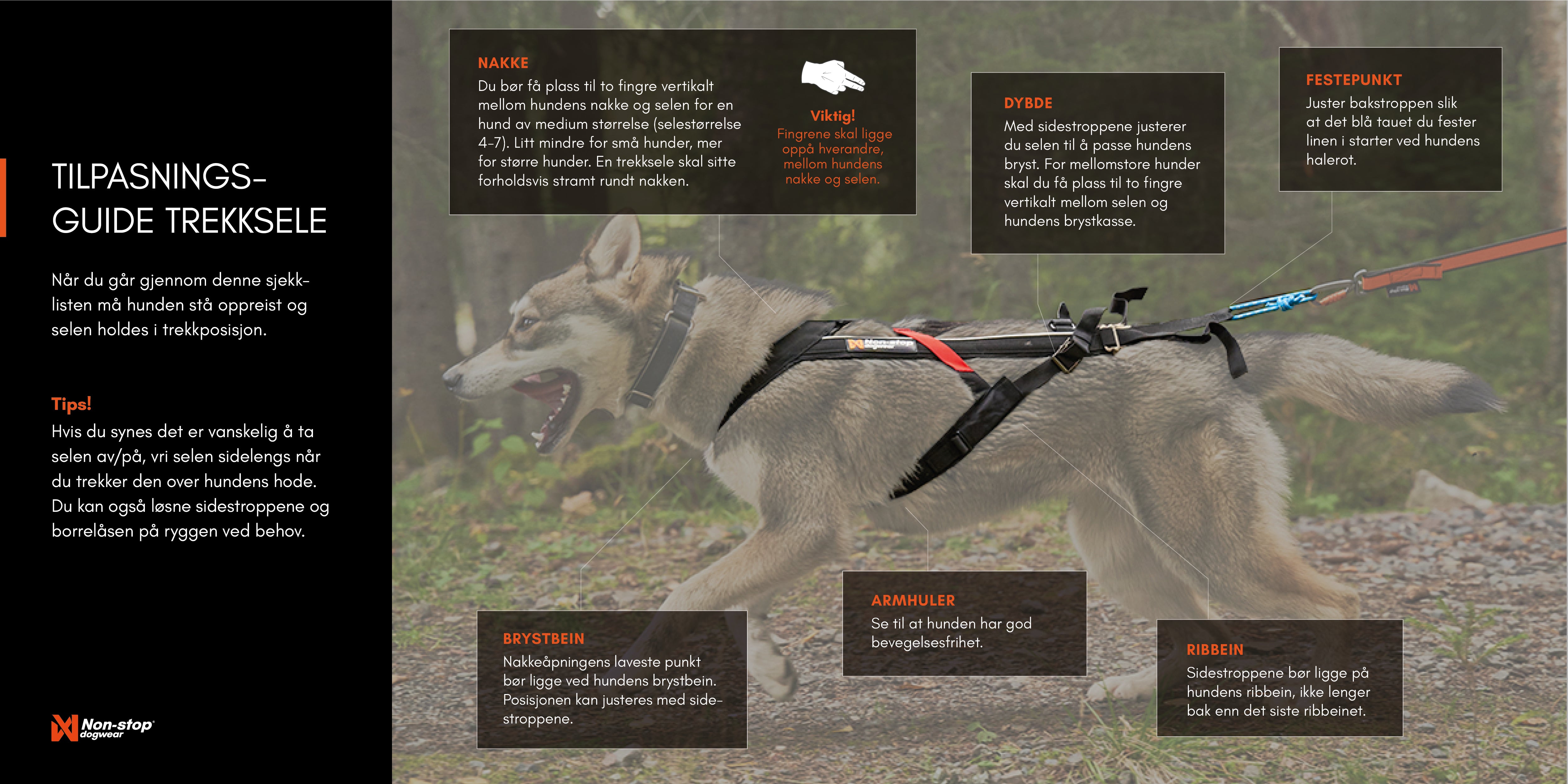 Freemotion Harness - Trekksele for aktive hunder