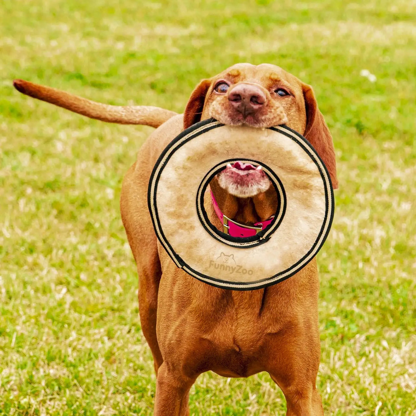 Suede Frisbee - Naturlig hundeleke i semsket skinn