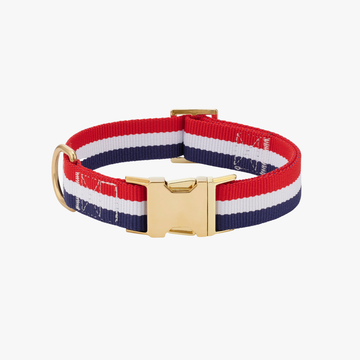 Newport Striped - Hundehalsbånd