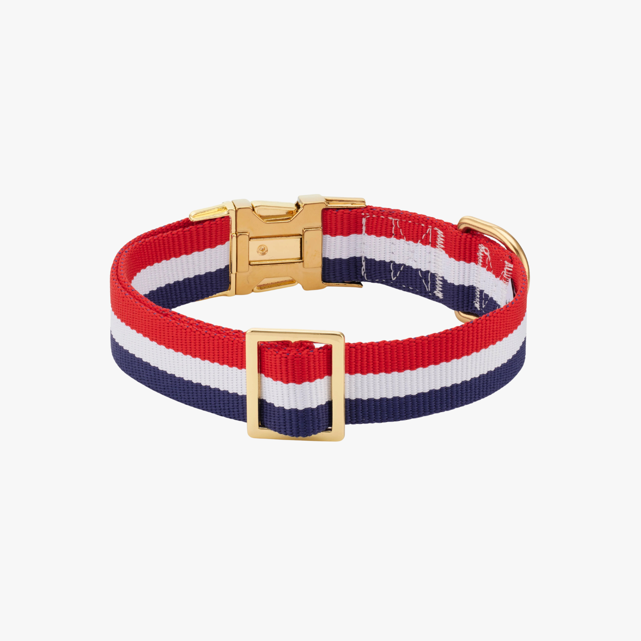 Newport Striped - Hundehalsbånd