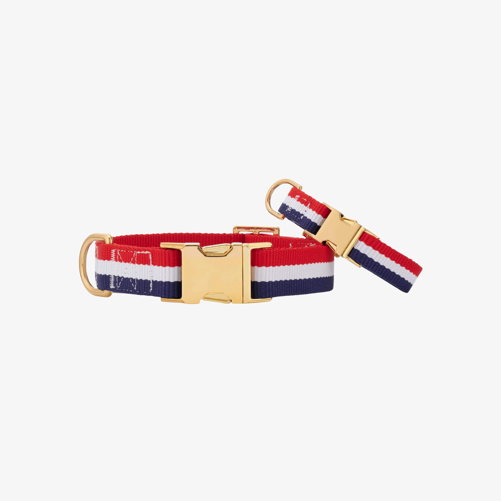 Newport Striped - Hundehalsbånd