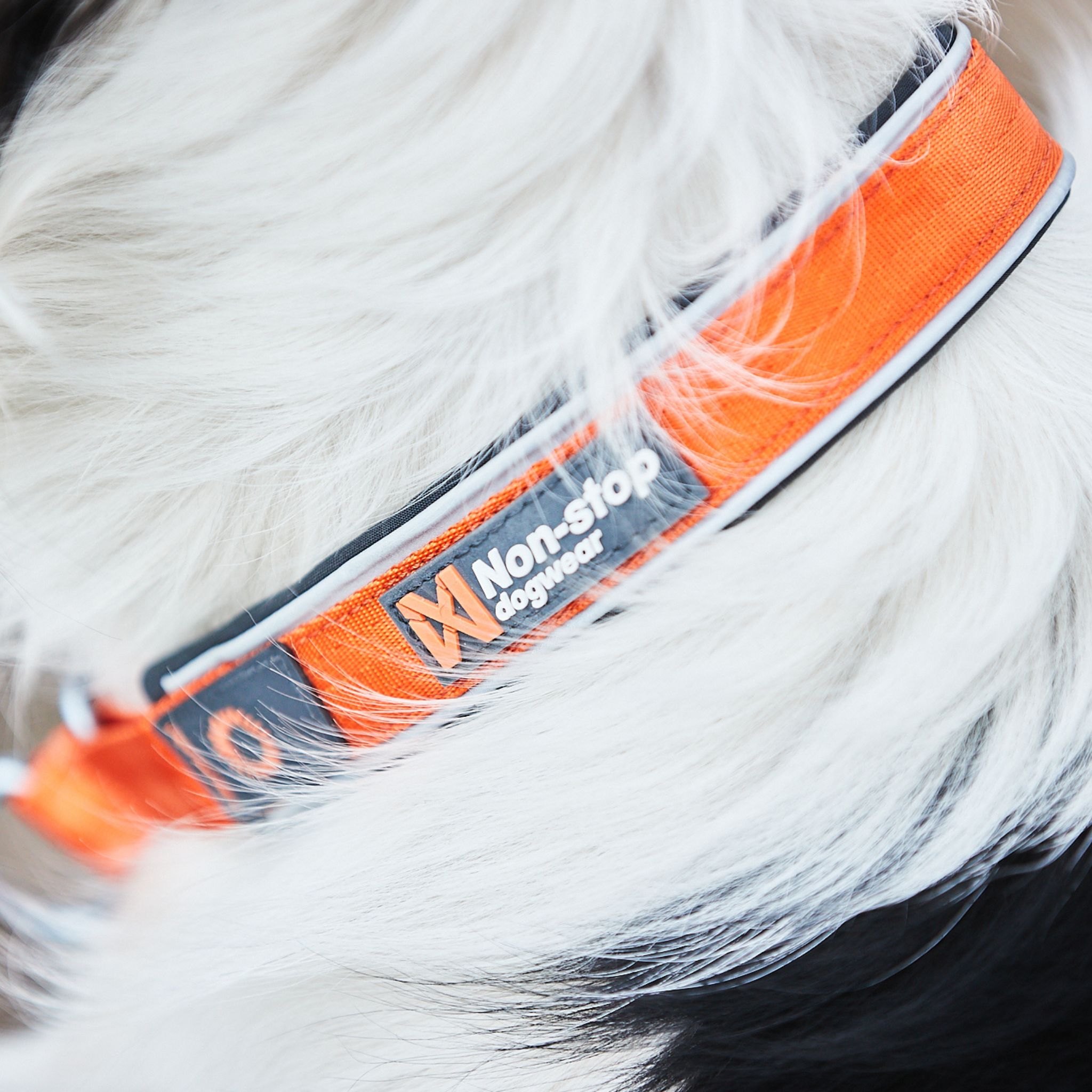 Cruise collar - Polstret halvstrup halsbånd | Sort