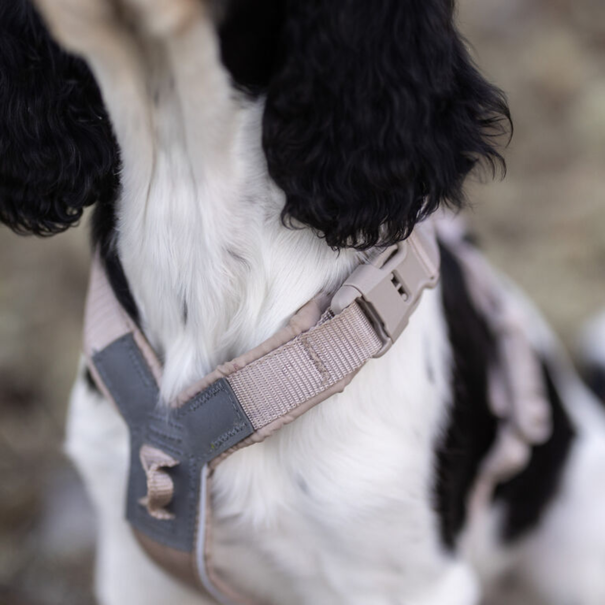 Trekking Line CLIP'N™- Hundesele | Sand