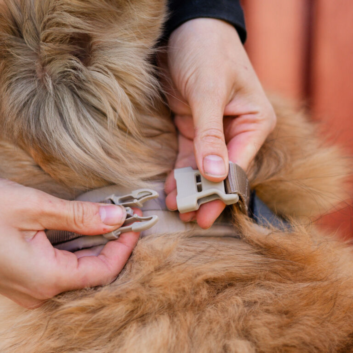 Trekking Line CLIP'N™- Hundesele | Sand
