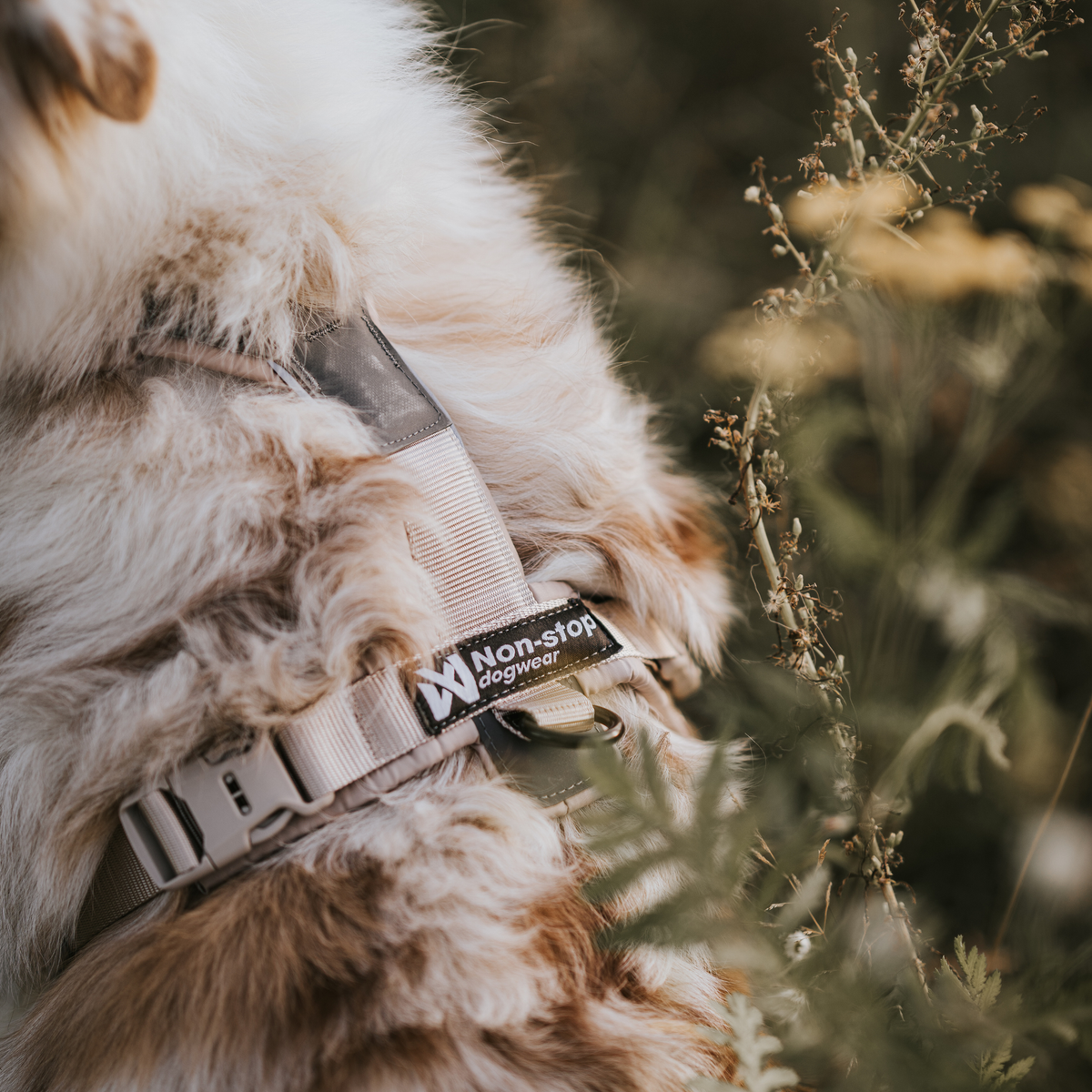 Trekking Line CLIP'N™- Hundesele | Sand