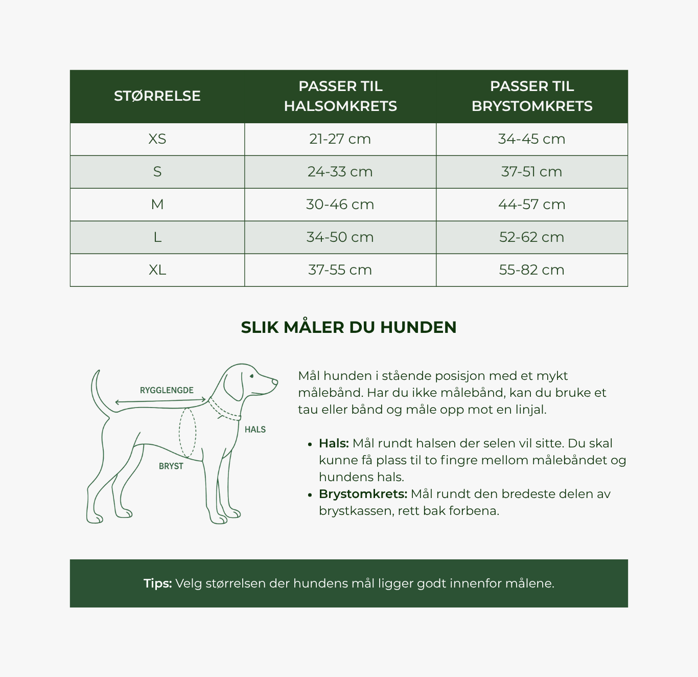 Numa - Justerbar hundesele | Moss Green