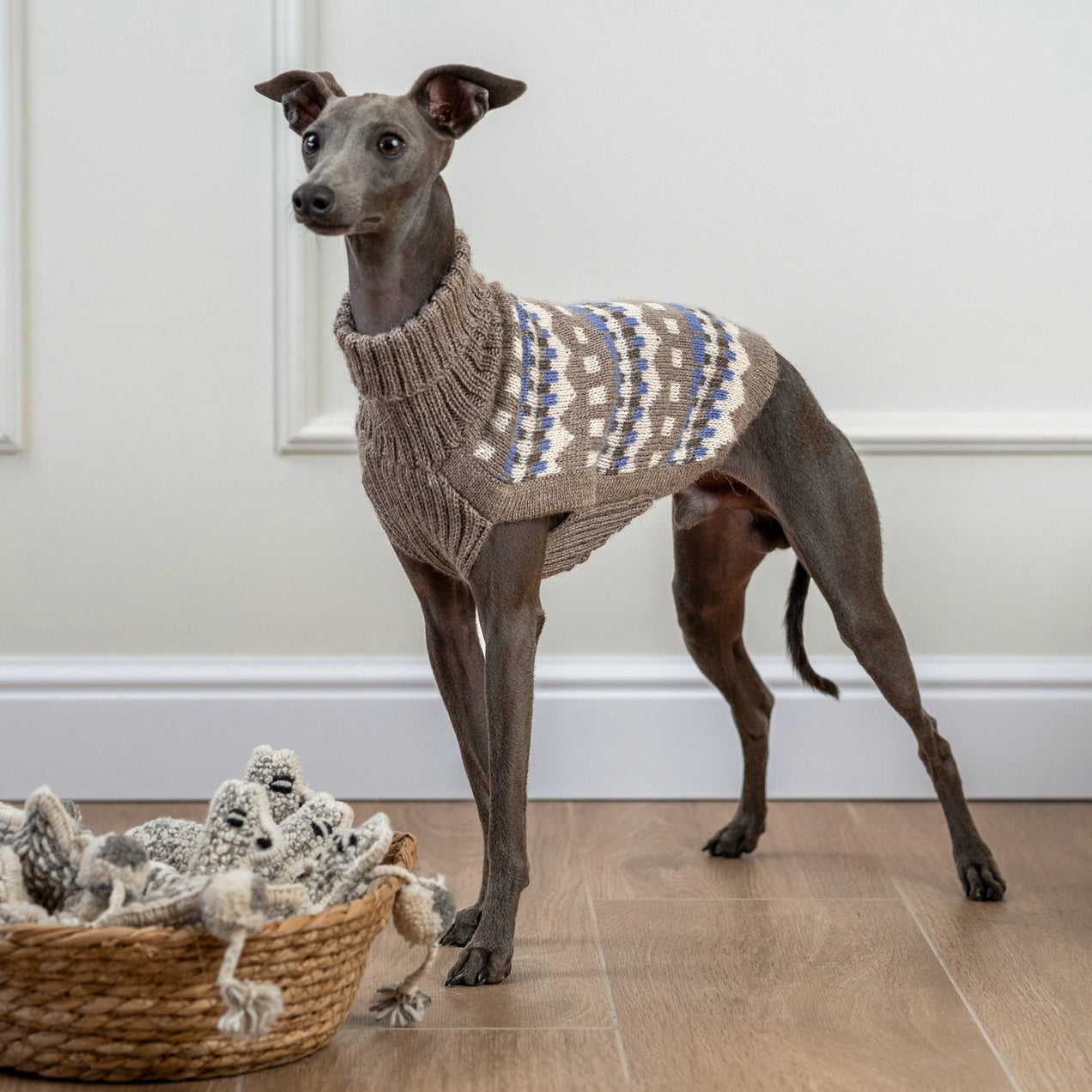 Oasis – Alpaca Hundegenser