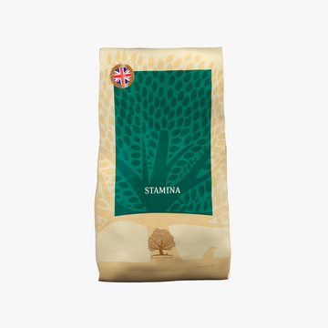 Essential Stamina - Tørrfôr for den aktive livsstilen