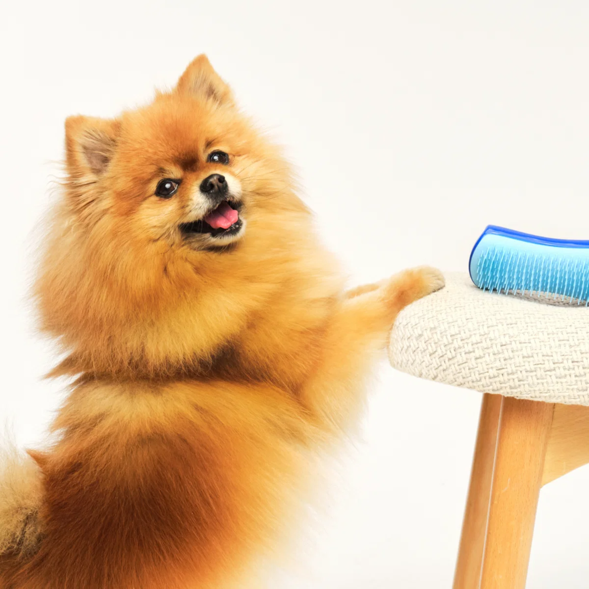 Pet Teezer – De-shedding børste