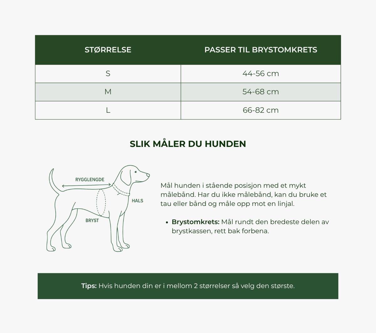 Puppy Bohème Coco - Hundesele