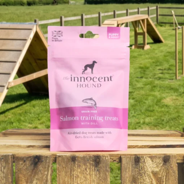 Salmon training treats - Godbiter | 70g