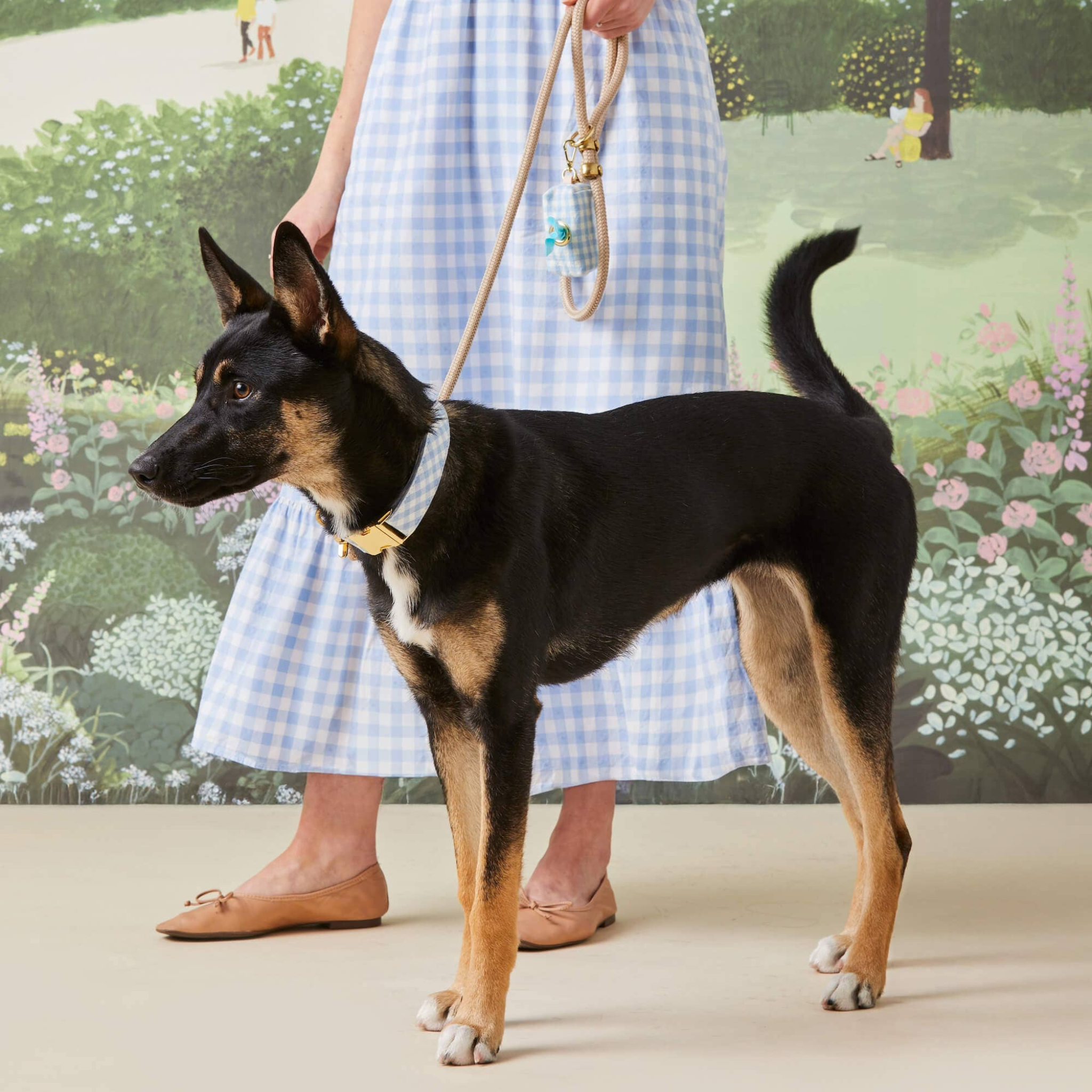Sky Blue Gingham - Hundeposeholder