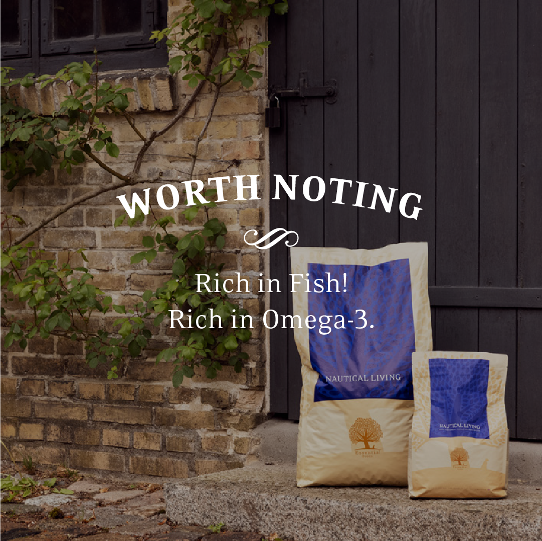 Essential Nautical Living – Tørrfôr med laks, ørret og sesongens fisk