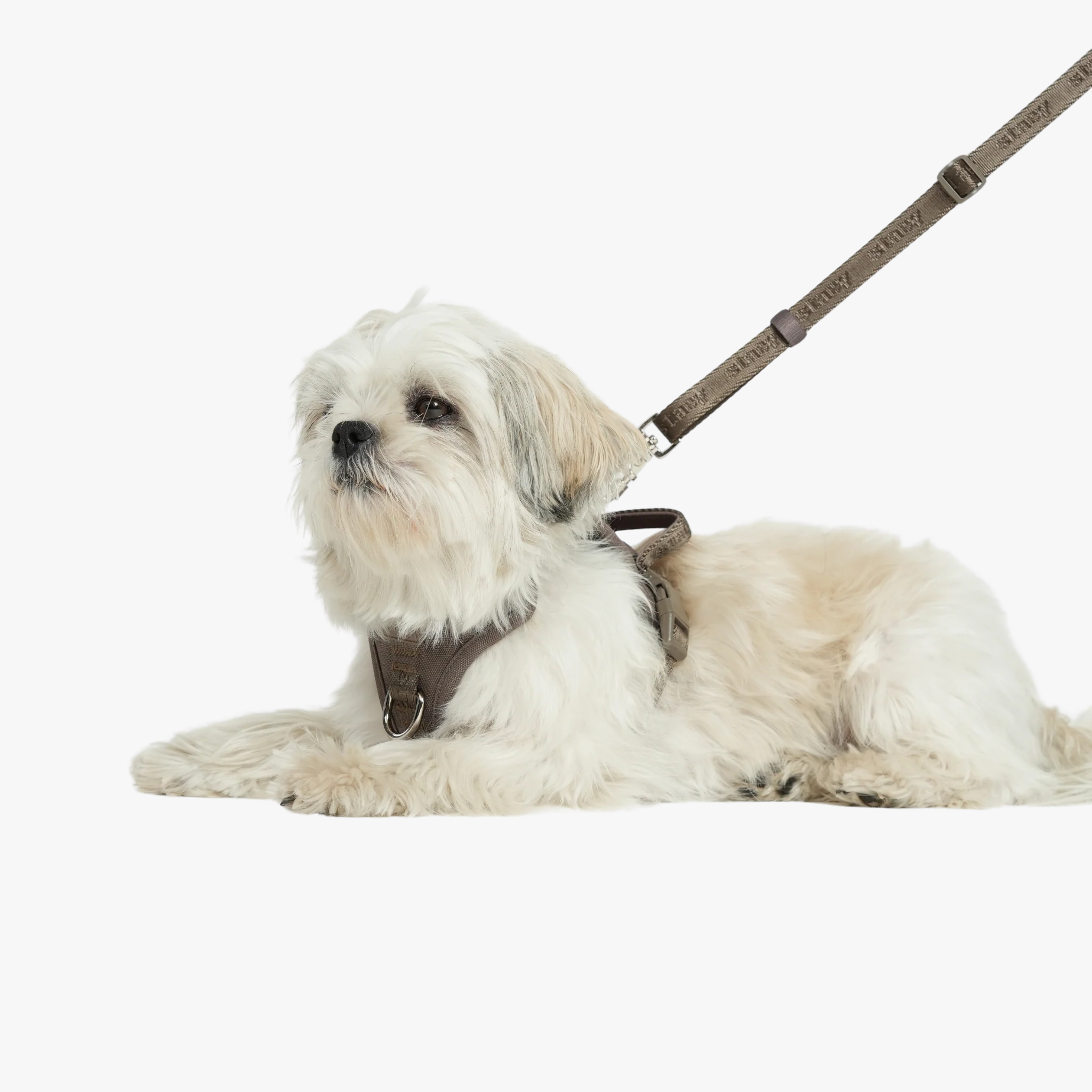 Hands-Free Dog Leash - Håndfritt hundekobbel | Taupe