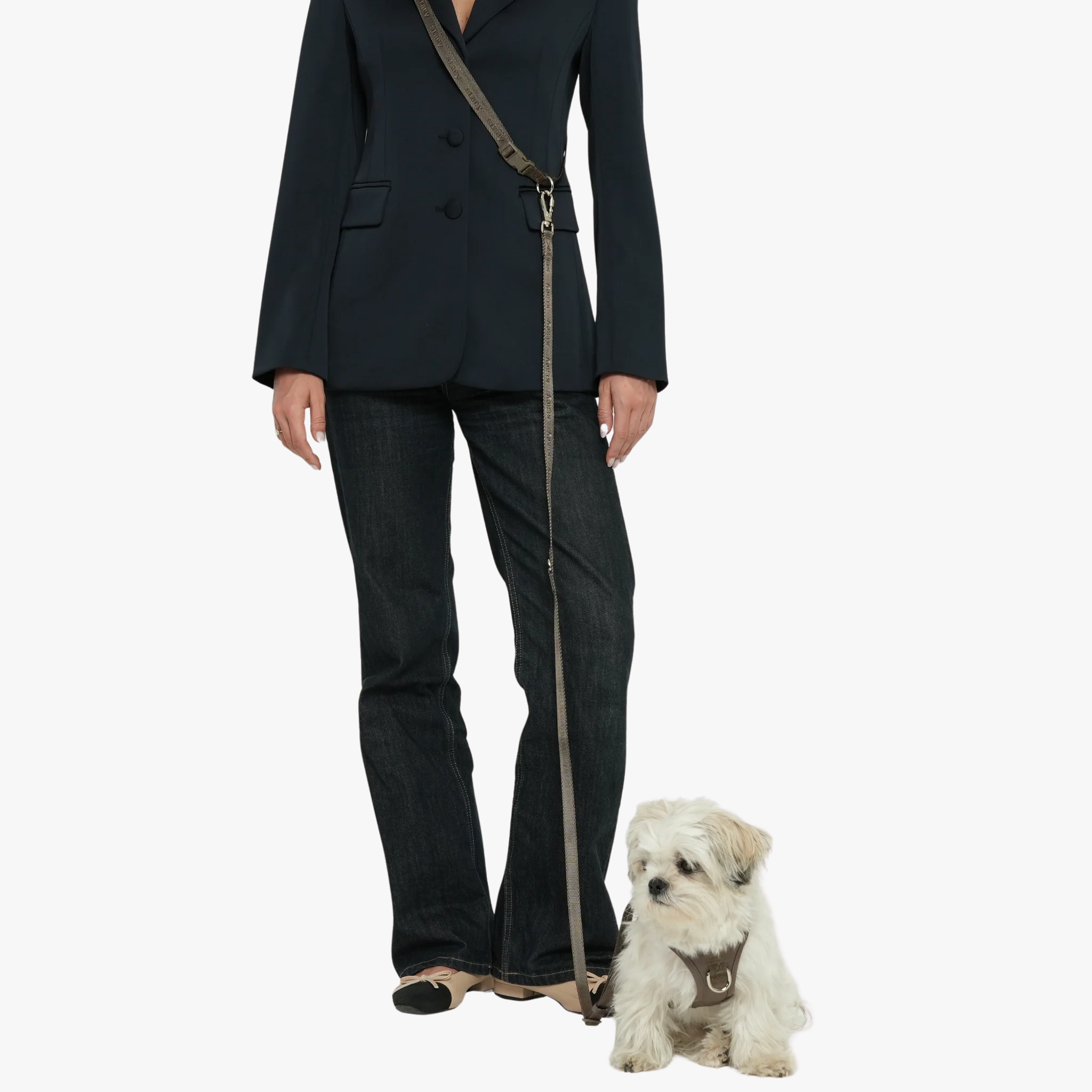 Hands-Free Dog Leash - Håndfritt hundekobbel | Taupe