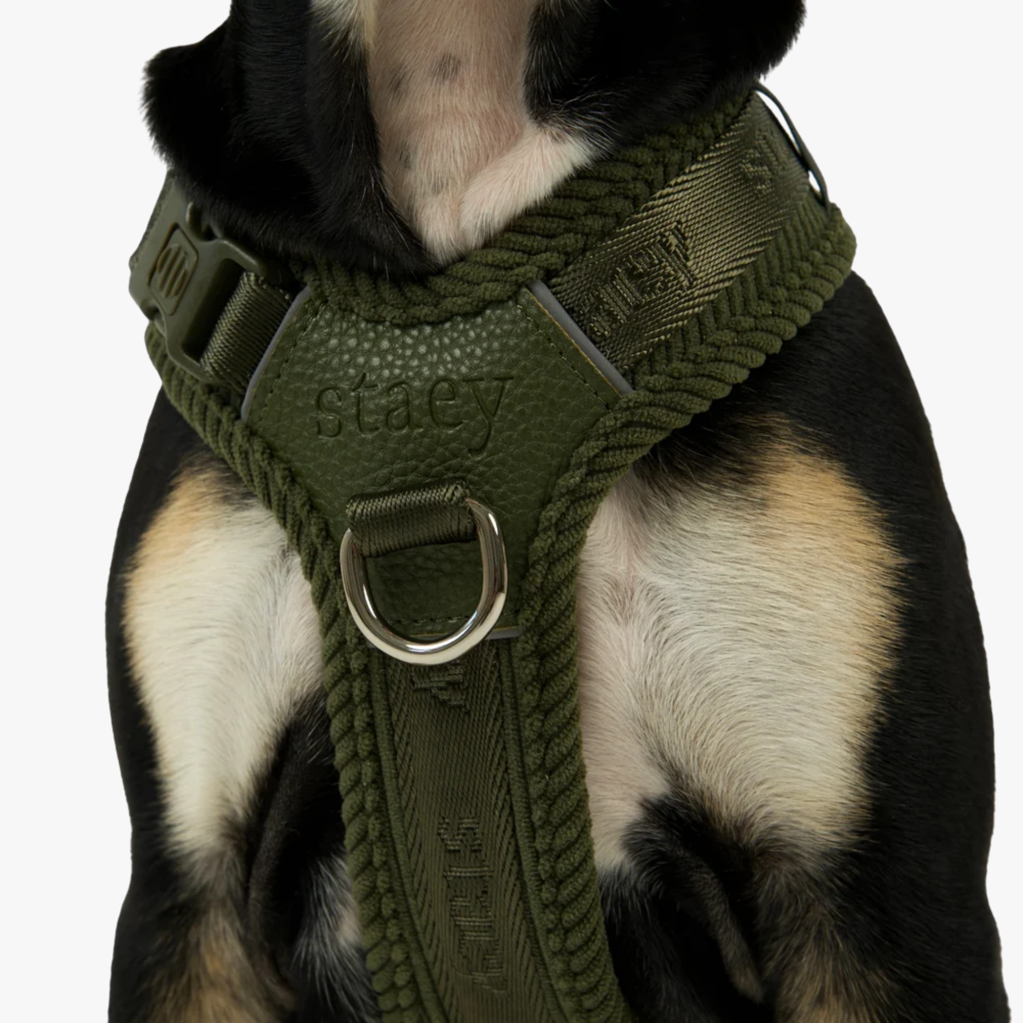 Numa - Justerbar hundesele | Moss Green