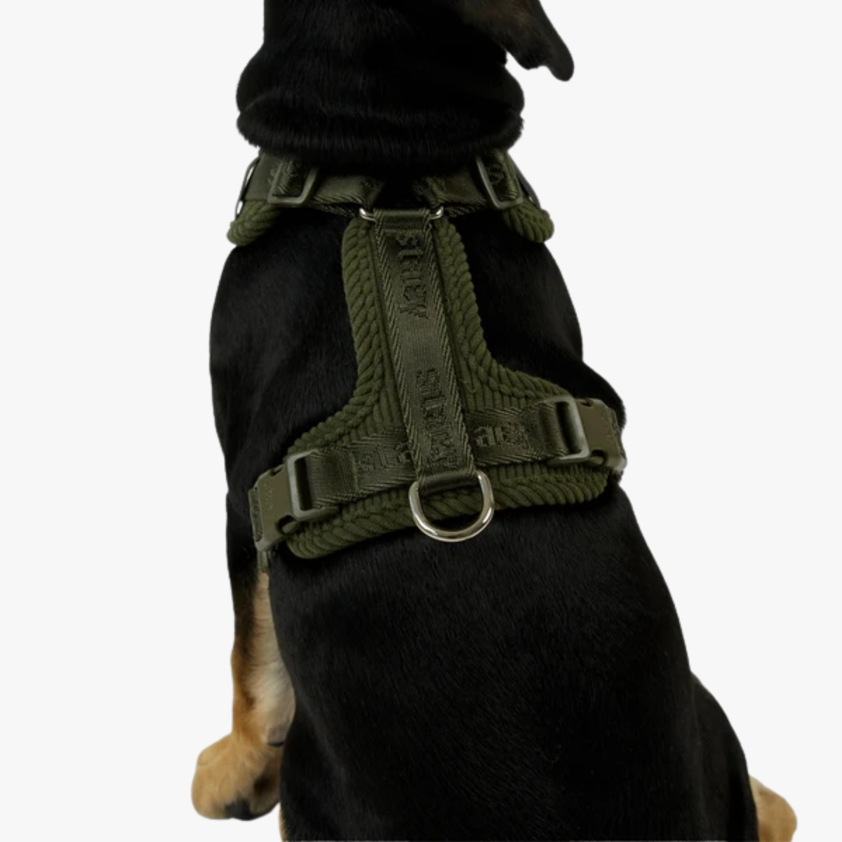 Numa - Justerbar hundesele | Moss Green