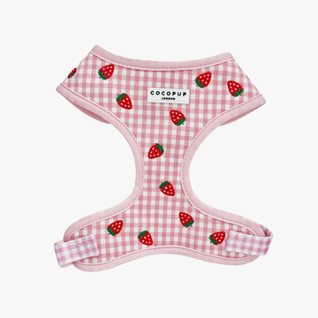 Strawberry Picnic Pup - Hundesele