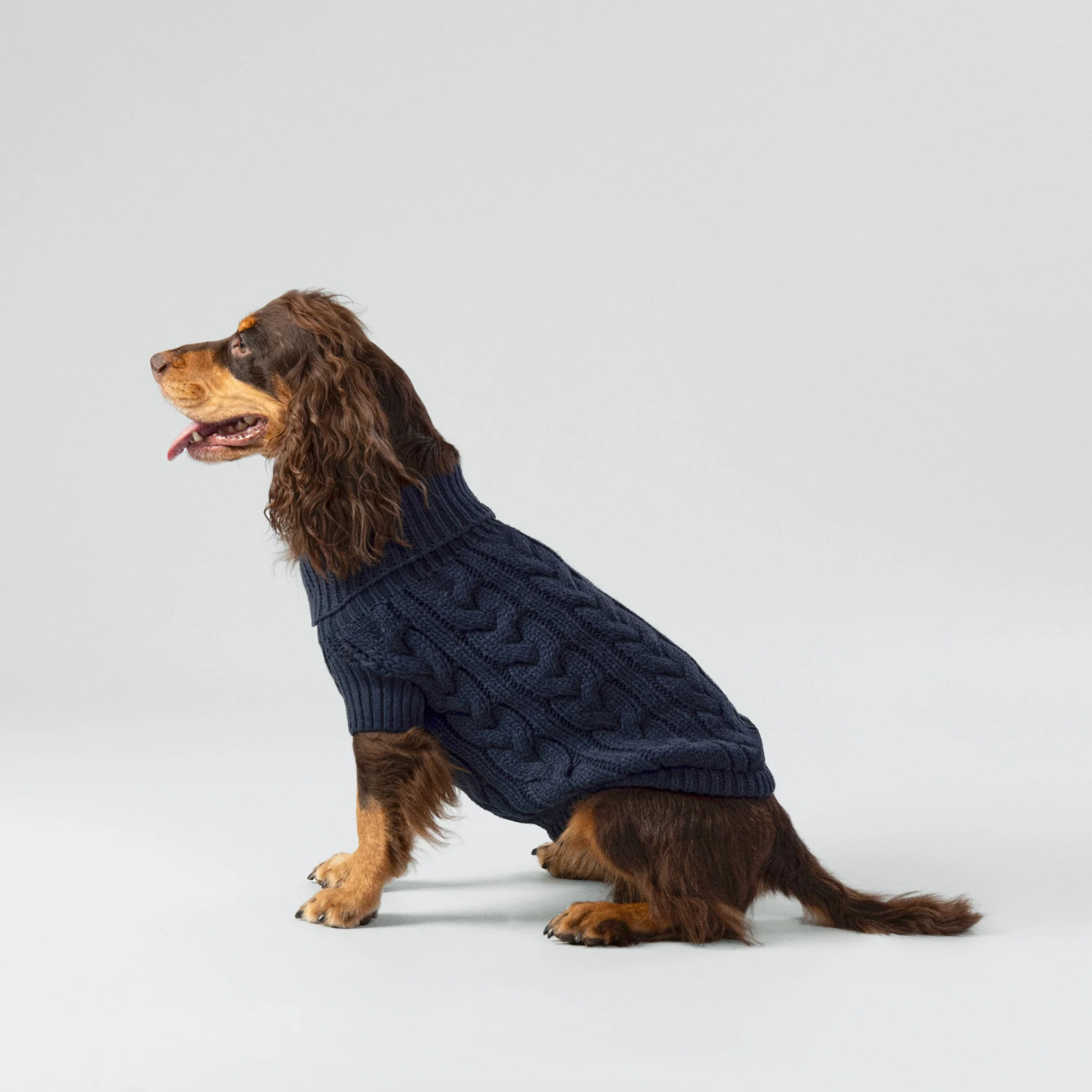 Hackett x Hugo & Hudson – Strikkegenser til hund Marineblå