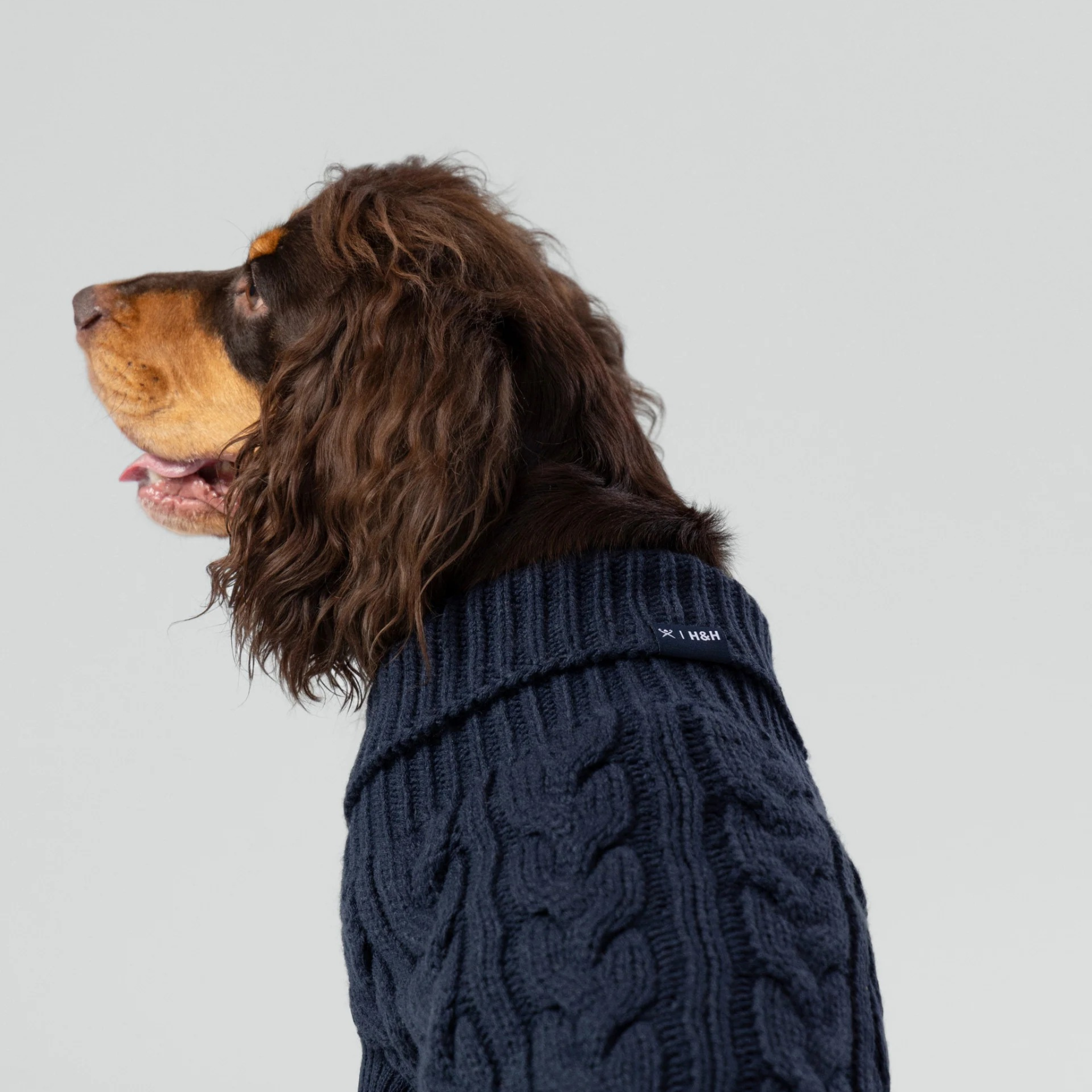 Hackett x Hugo & Hudson – Strikkegenser til hund Marineblå