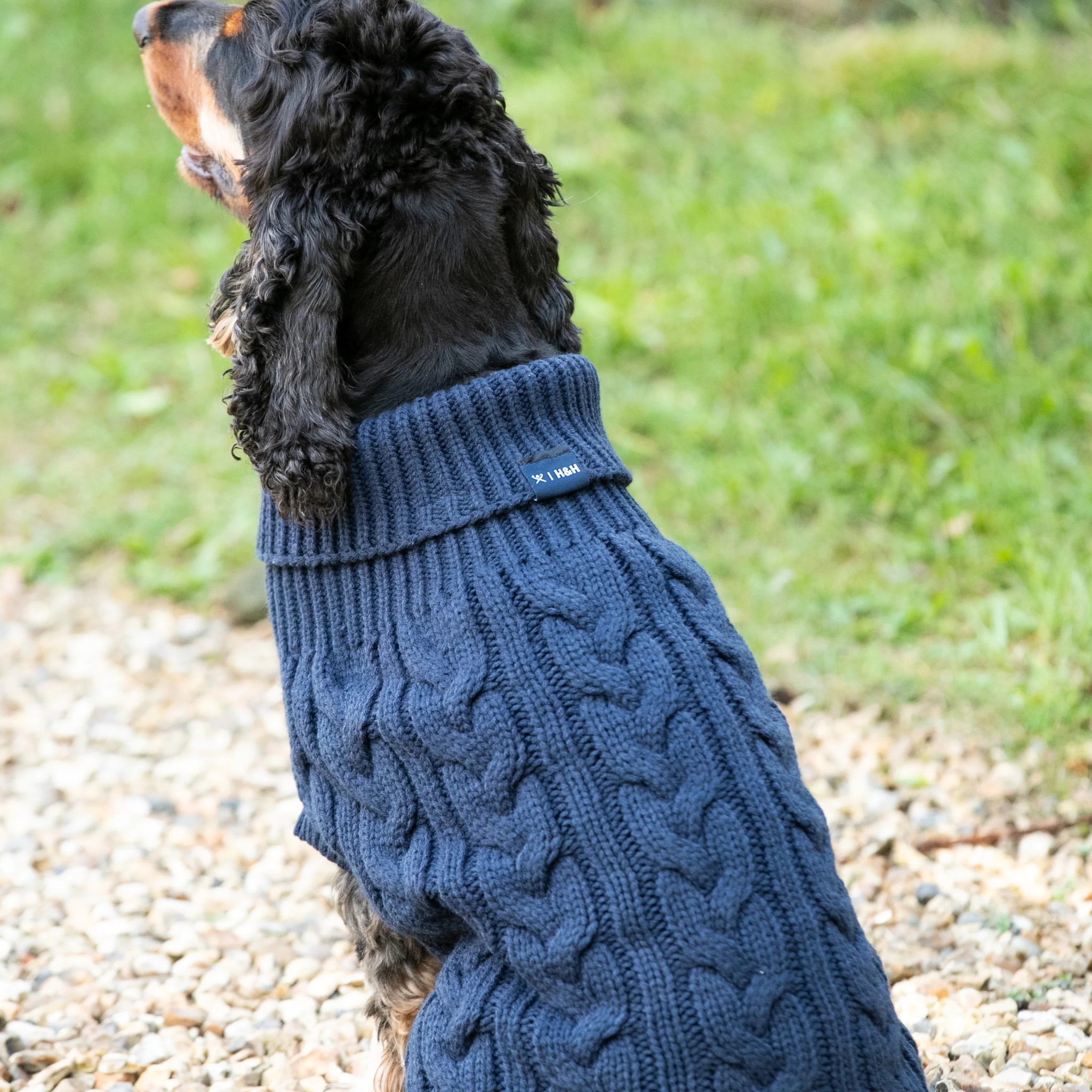 Hackett x Hugo & Hudson – Strikkegenser til hund Marineblå