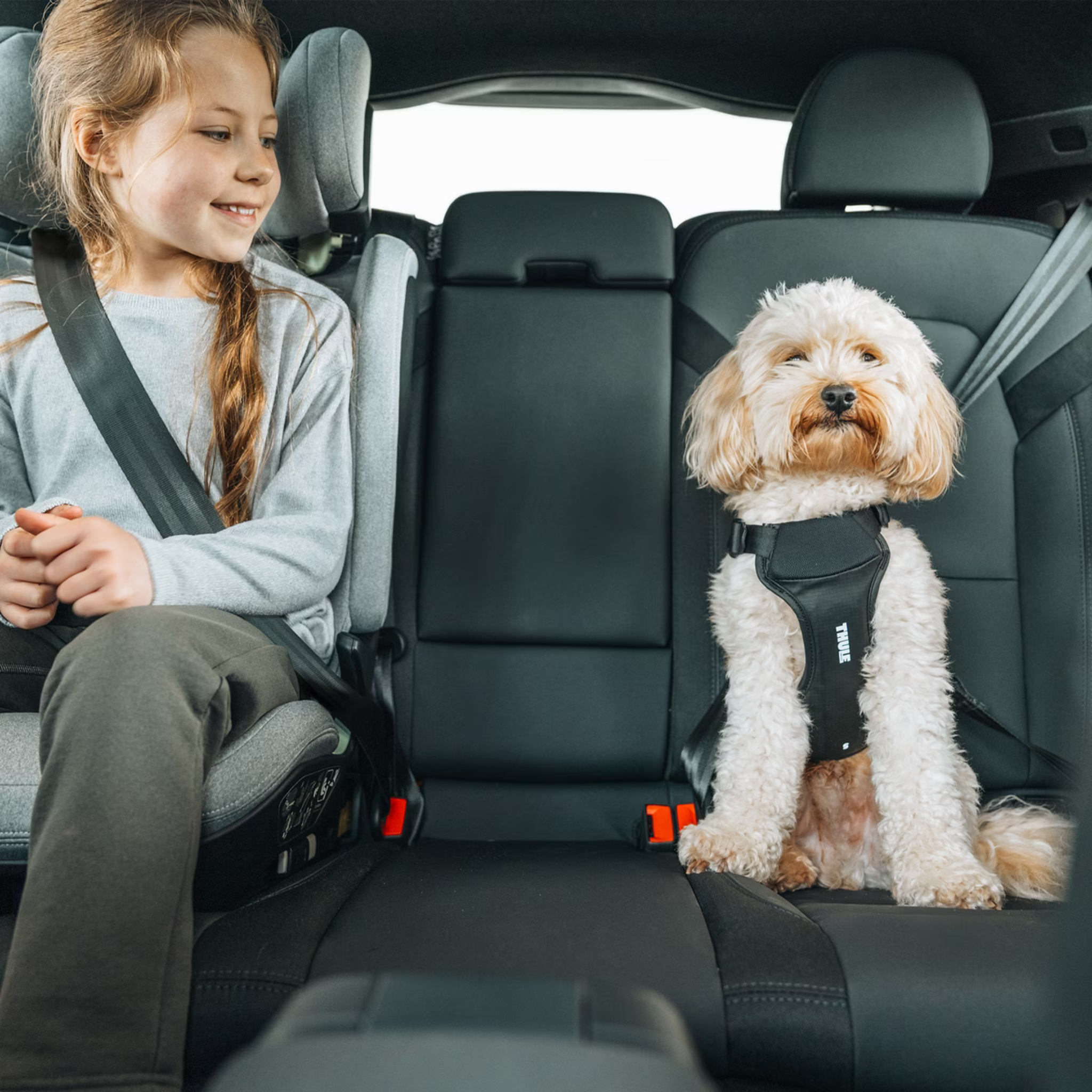 Thule Cappy – Bilsele til hund