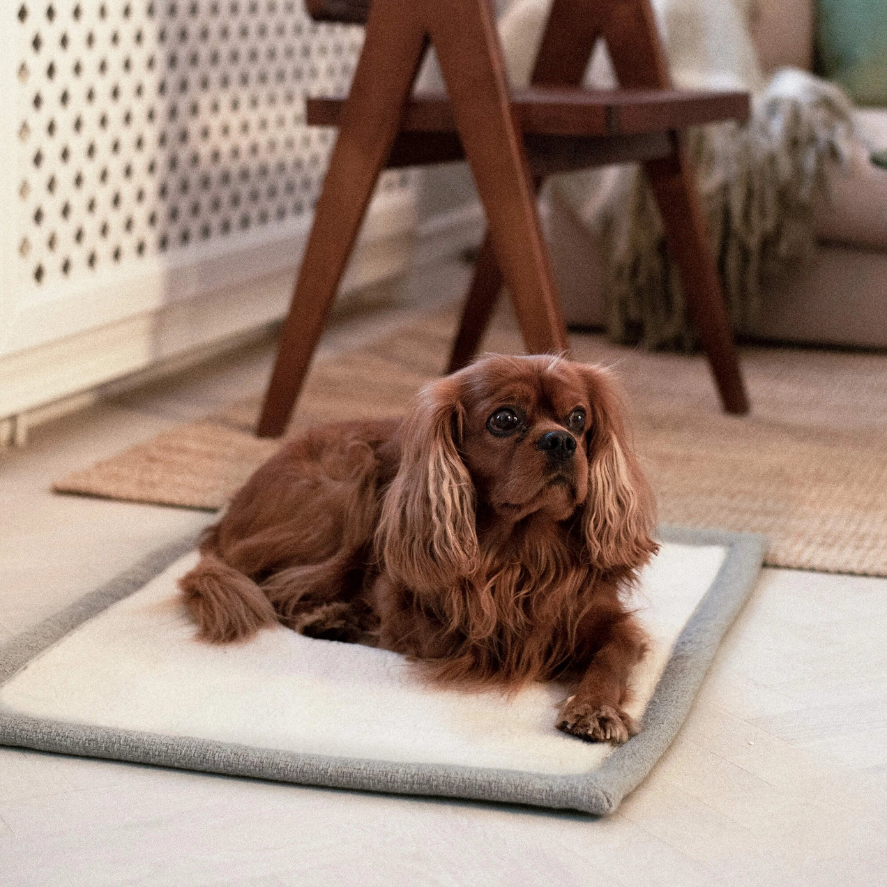 Snuggle Sand Beige - Reiseteppe